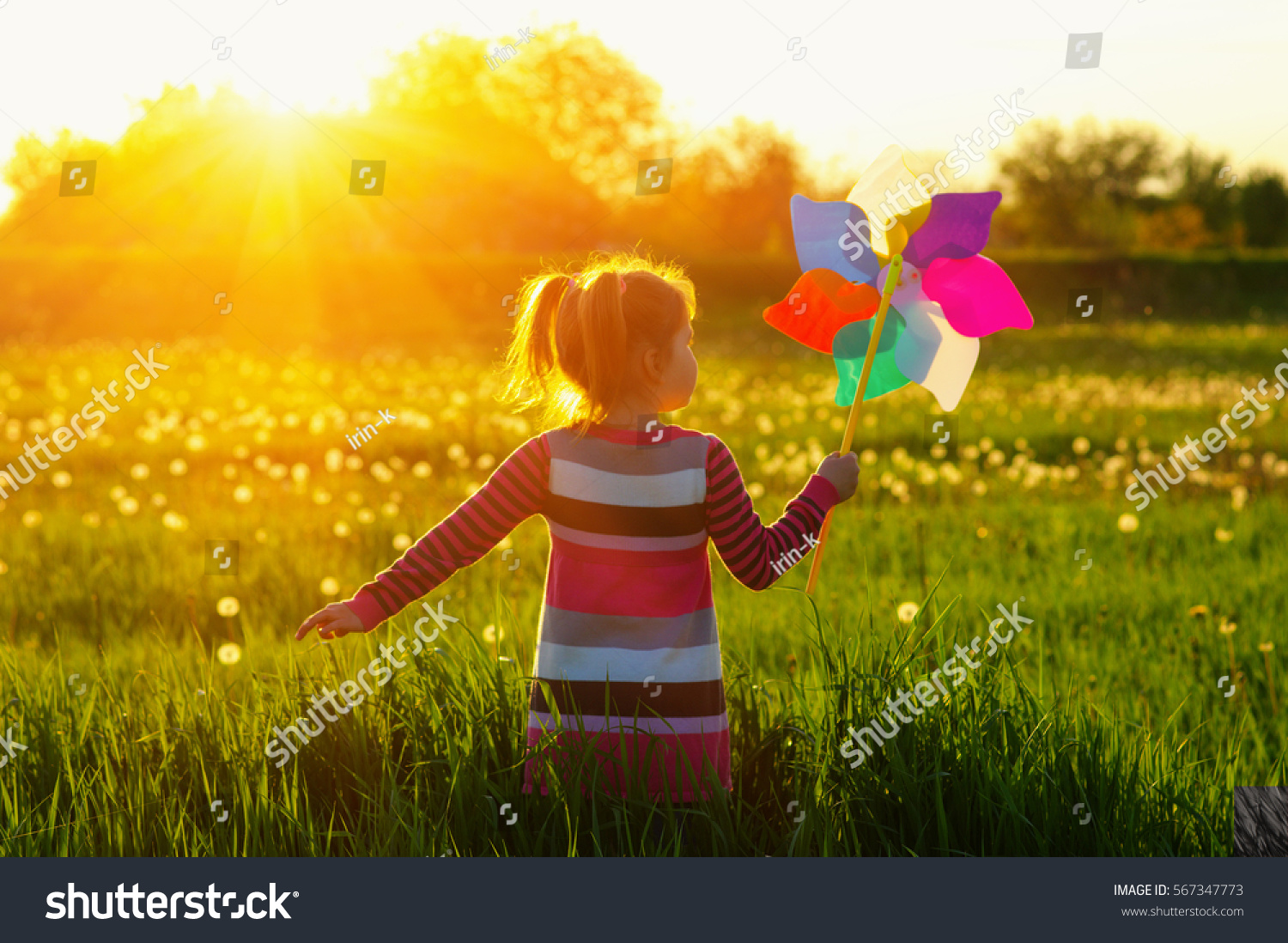 Girl in the sunlight in the field