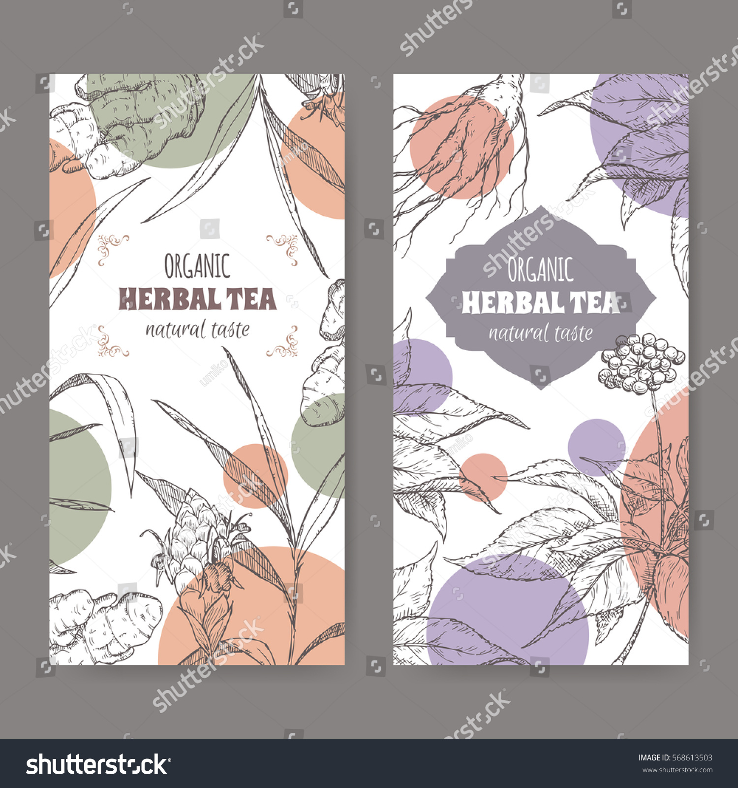 Set of two vector herbal tea labels with ginger and ginseng hand drawn sketch.
