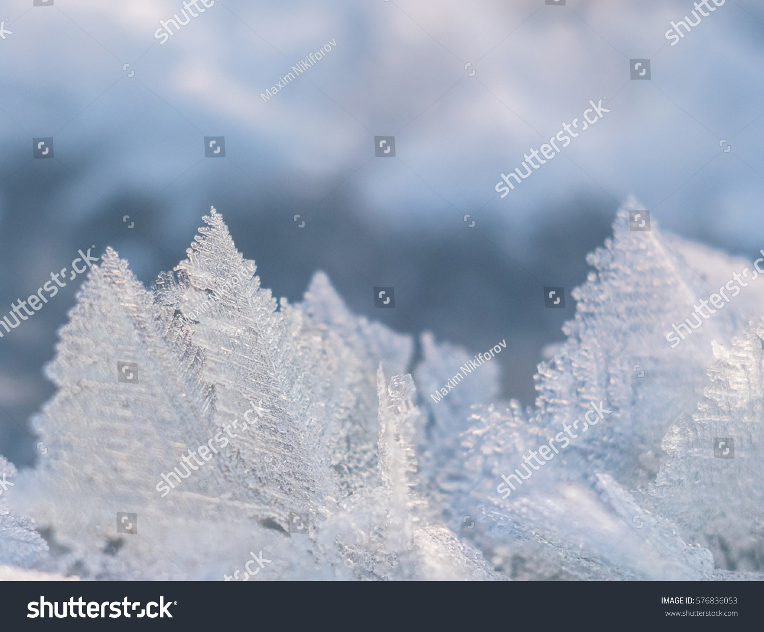 Snow crystals closeup