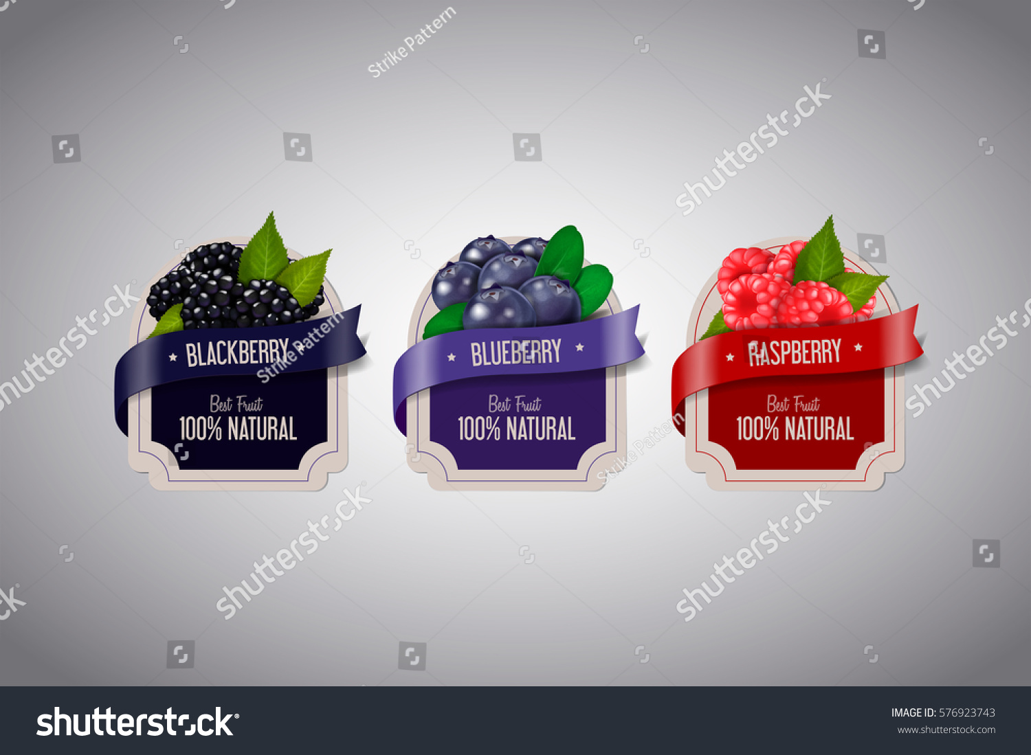 Realistic Berry labels set with blackberry  blueberry and raspberry fruits isolated. Berry jam label design template.