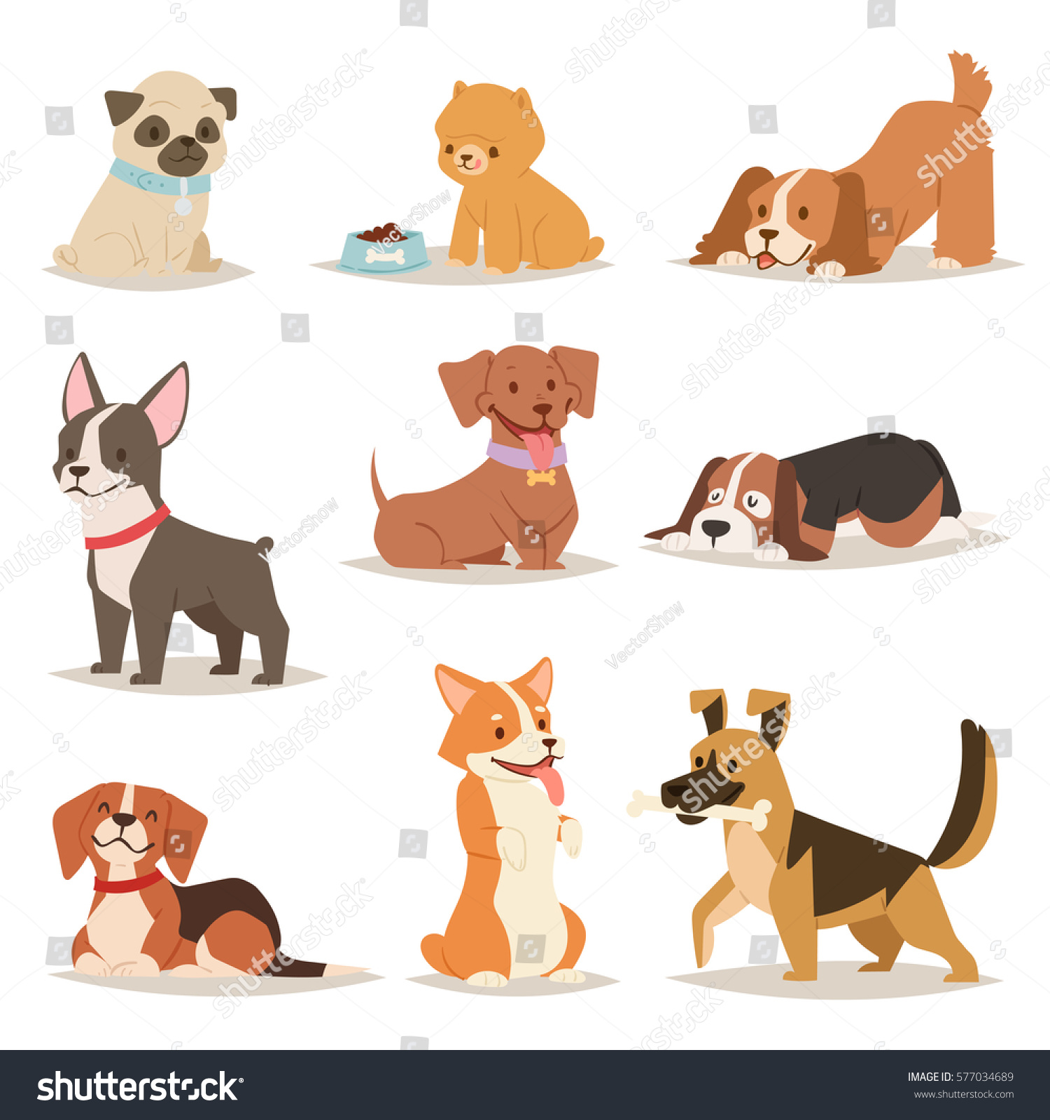 Funny cartoon dogs characters different breads doggy puppy illustration. Furry human friends cute animals