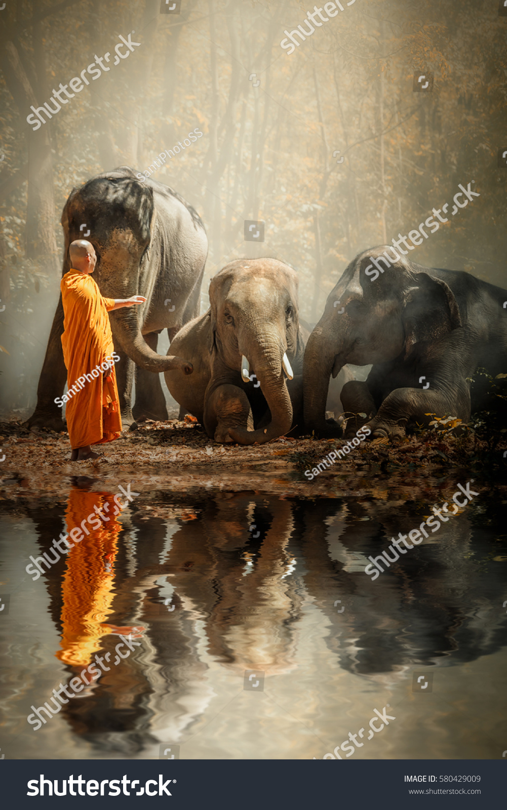 Monk walking hike and wild elephants