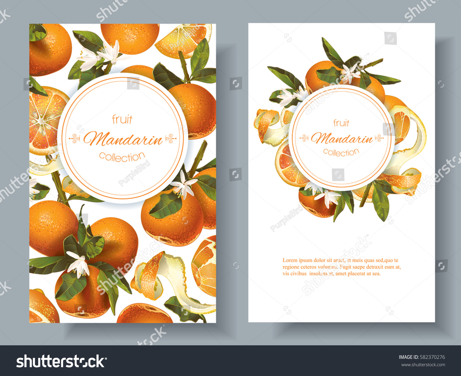 Vector mandarin vertical banners on white background. Design for sweets and pastries filled with fruit  dessert menu  natural cosmetics  health care products. With place for text