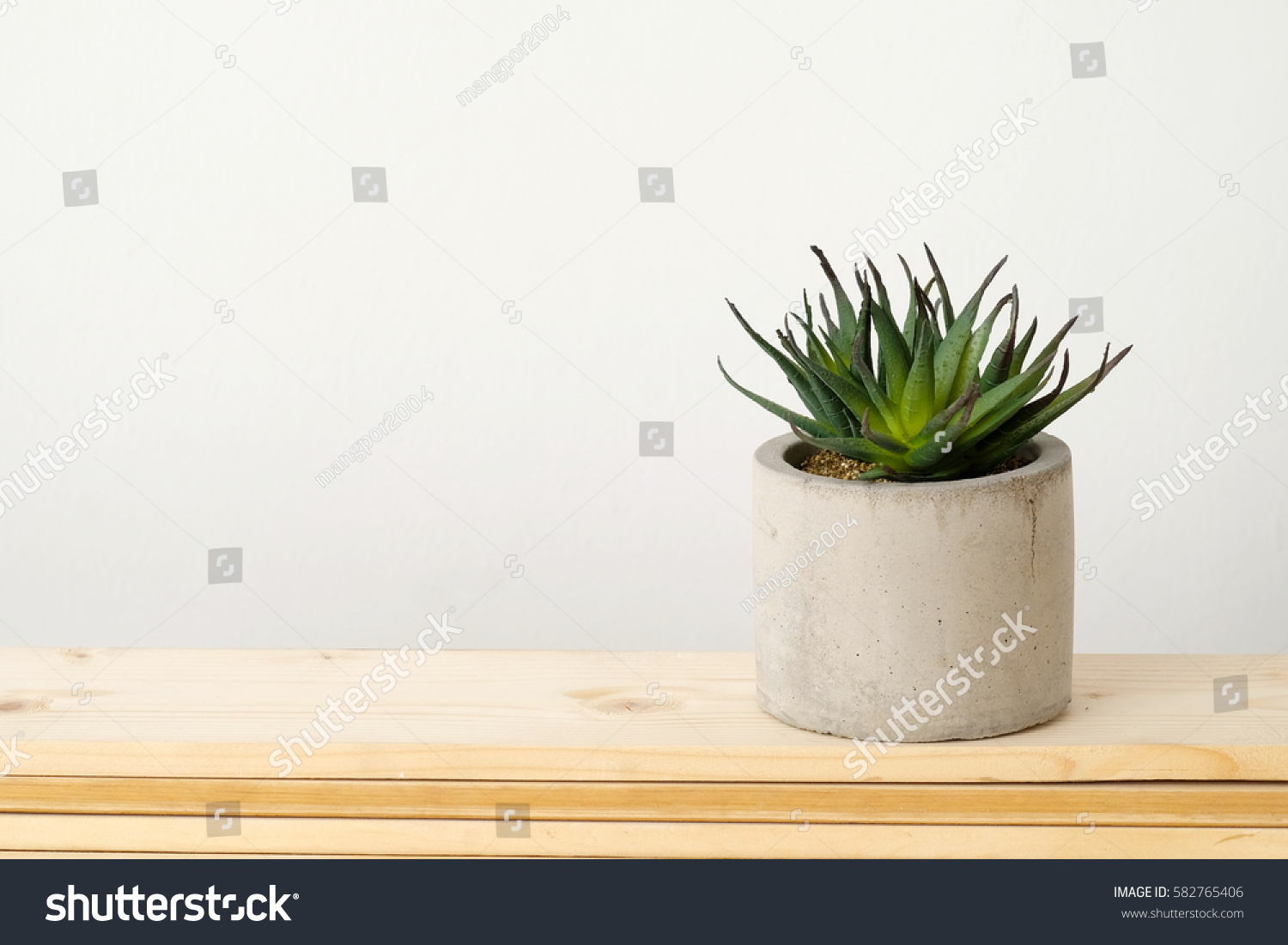 Succulent plant on wood table over white wall background copy space for text and product display montage