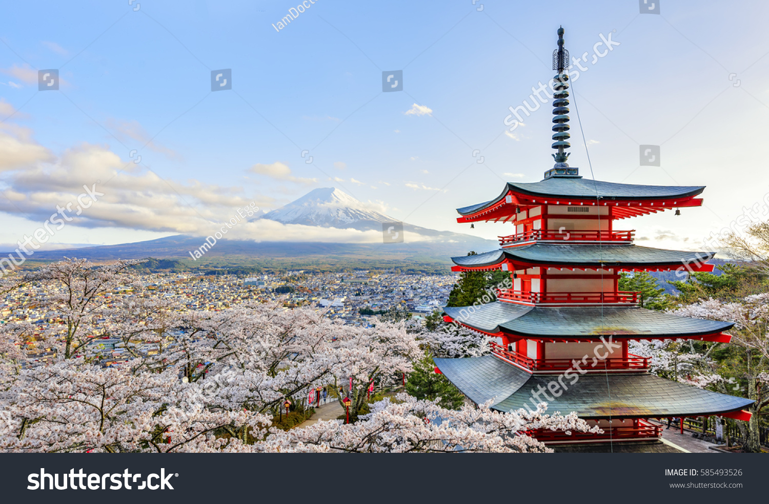 Fuji-san and Chureito Pagoda in Sakura Cherry blossom  Yamanashi  Japan