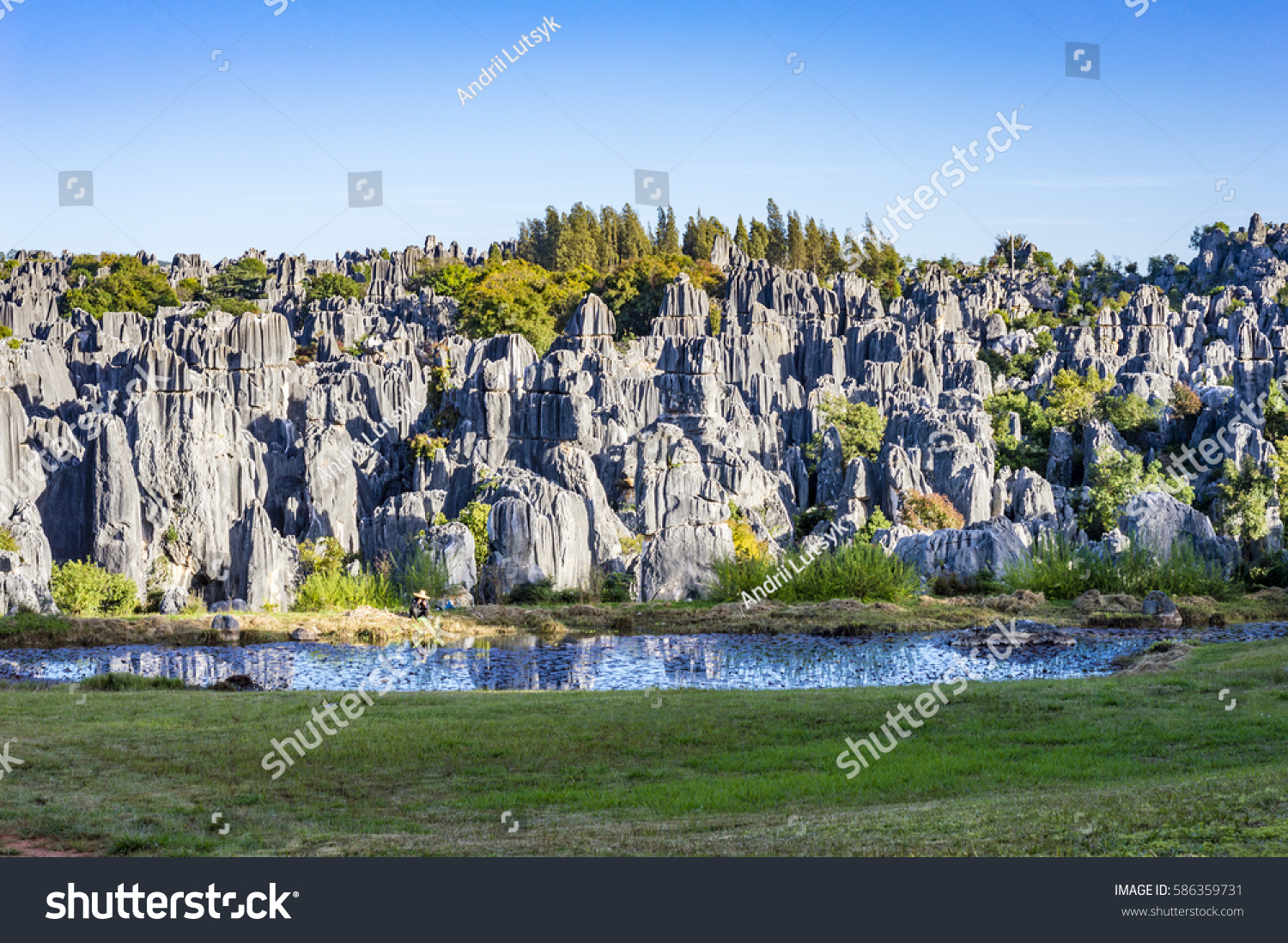 Stone Forest in Shilin  Kunming  Yunnan province  China