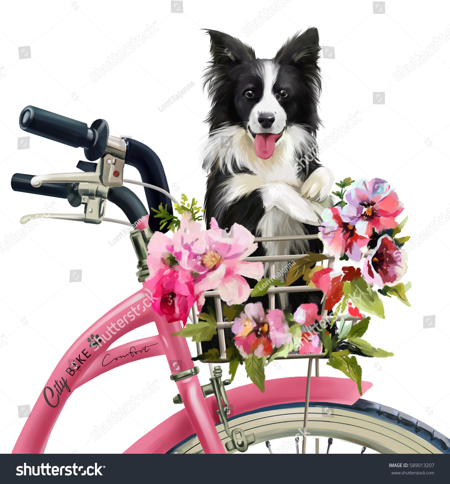 The puppy collie rides in the basket on the bike