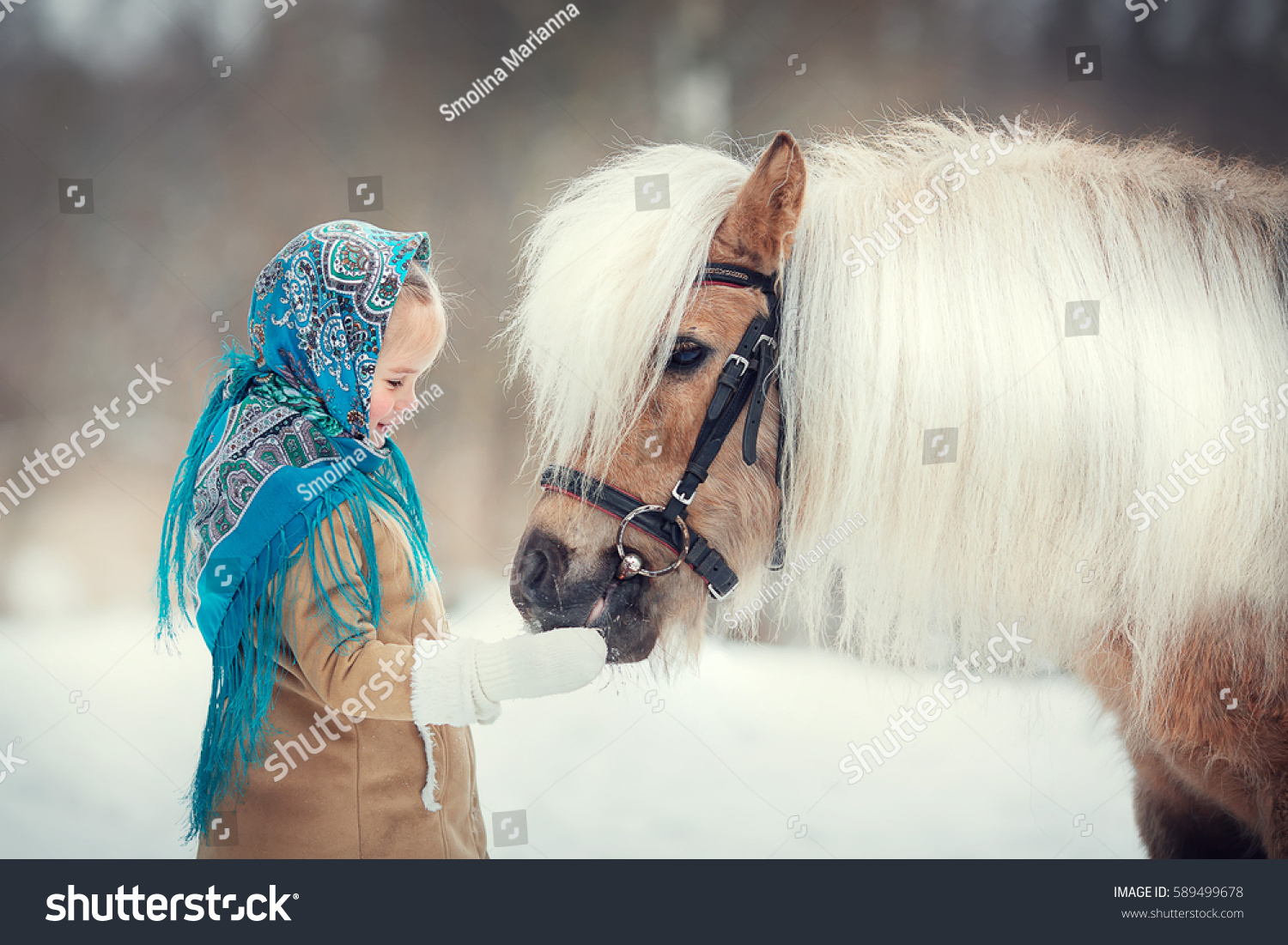 Russian style. Beautiful little girl in blue pavloposad shawl is feeding pony in winter in Russia. Image with selective focus and toning