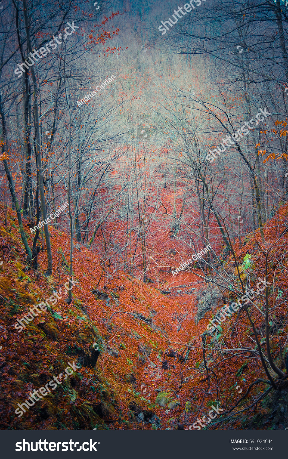 Surreal forest scene