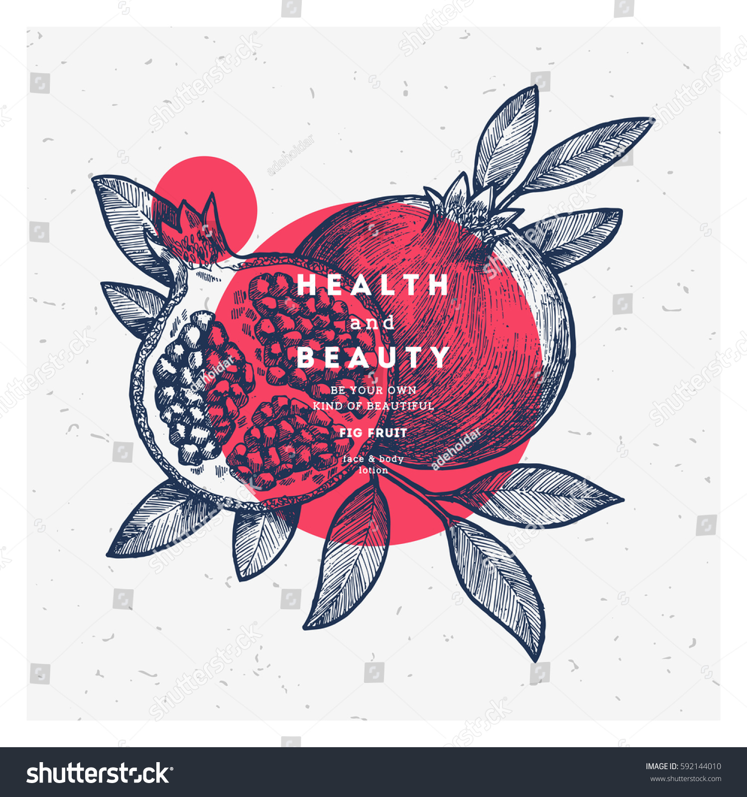 Pomegranate fruit vintage design template. Botanical fruit. Engraved pomegranate. Vector illustration