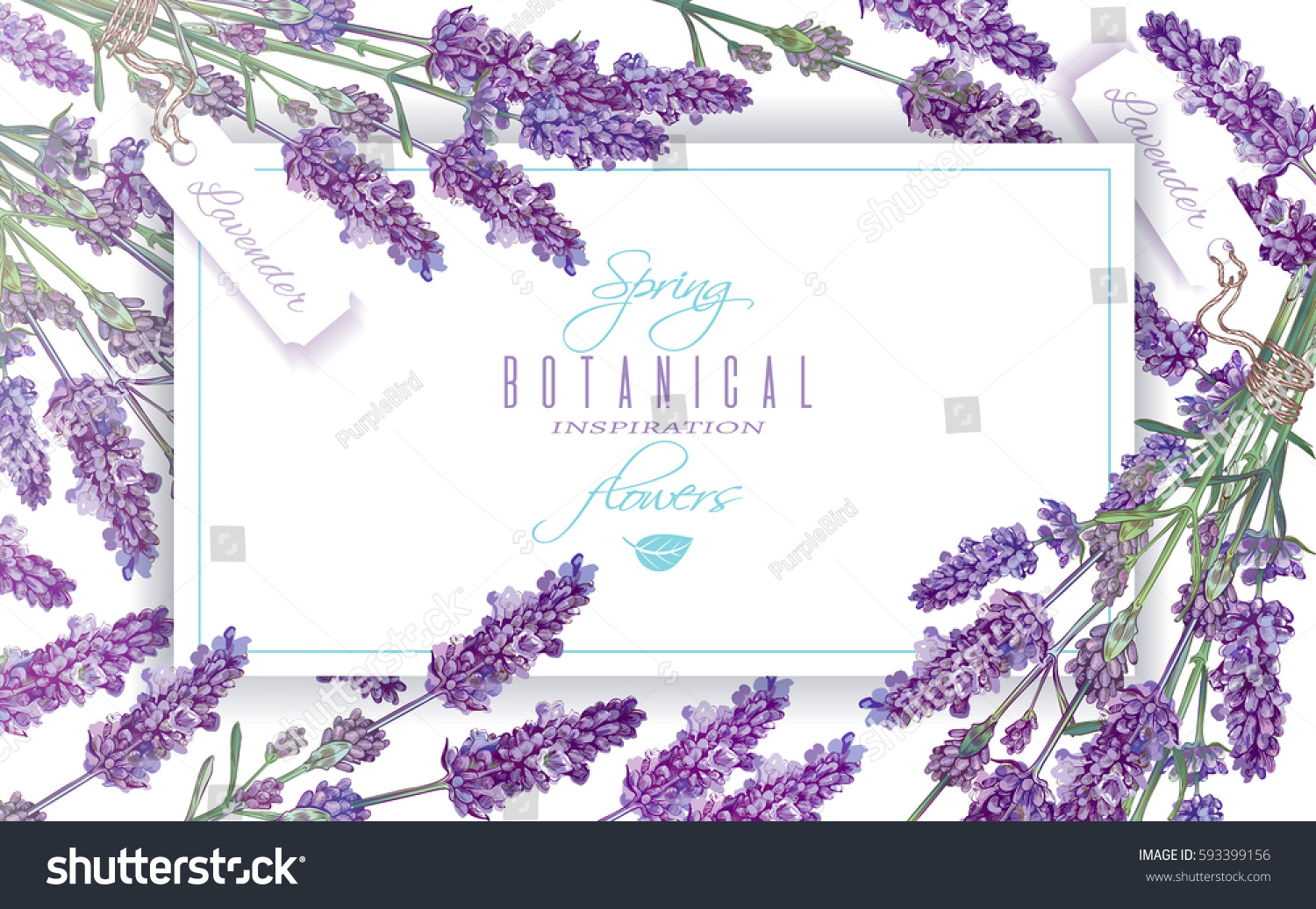 Vector lavender flowers banner on white. Design for natural cosmetics  beauty store  health care products  perfume  essential oil  aromatherapy. Can be used as greeting card or wedding invitation