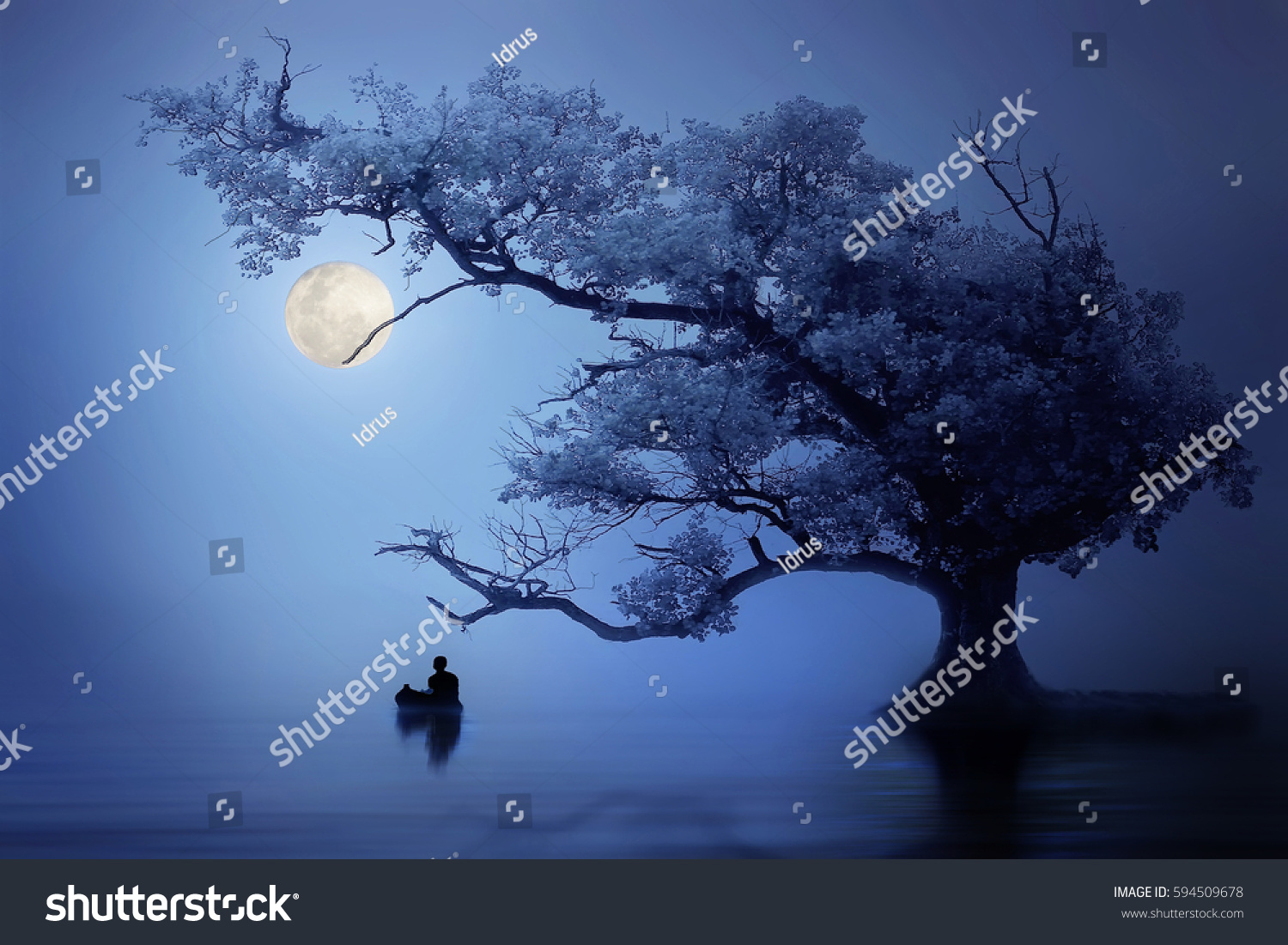 Moon in the night 