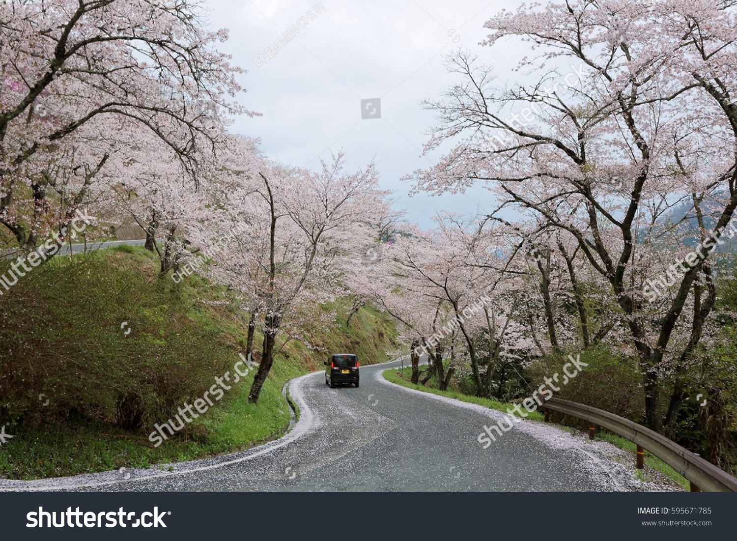 预览