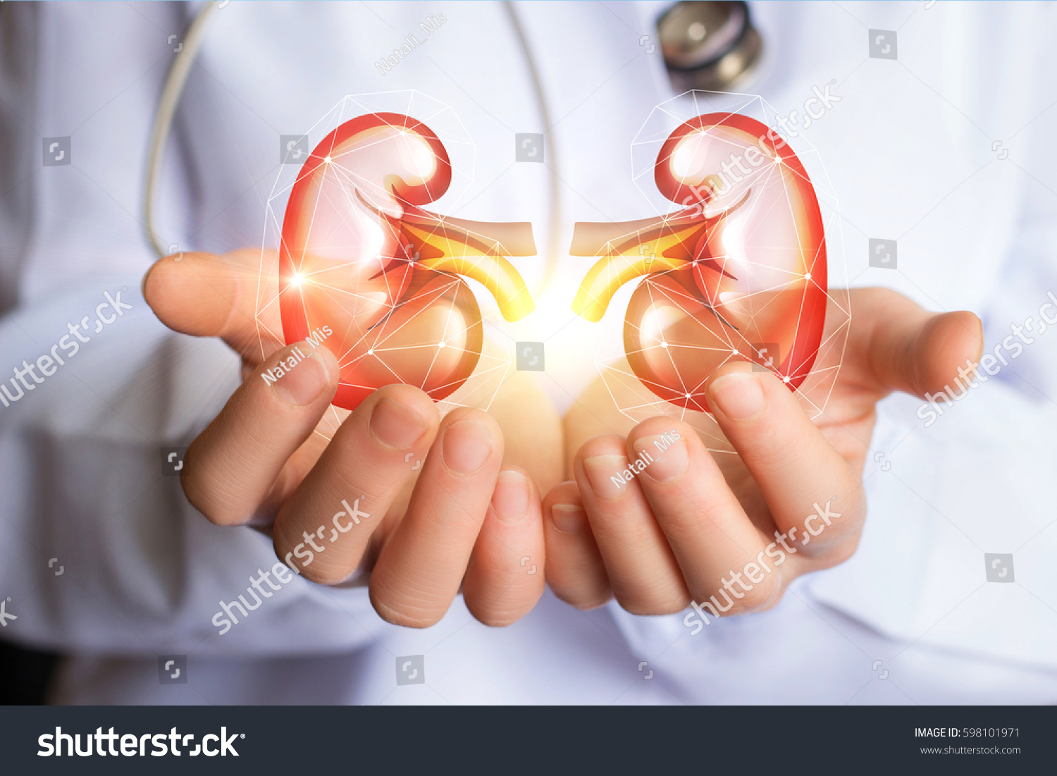 Doctor supports kidneys healthy concept design .