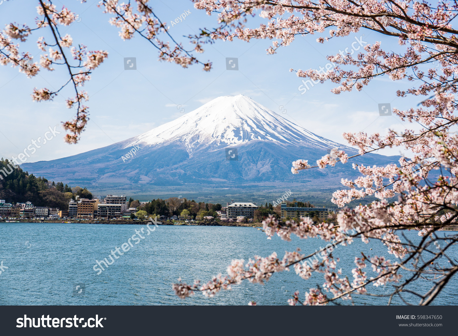 Mount Fuji with cherry blossom at Lake kawaguchiko in japan
