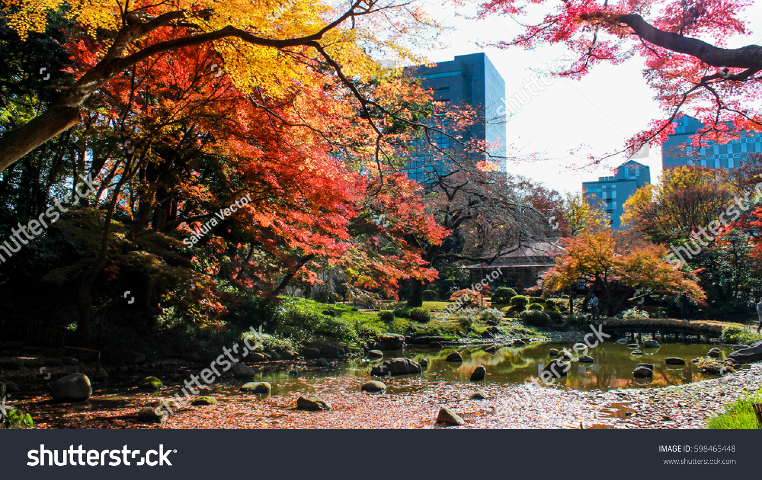 Shinjuku Gyoen gardenin autumn Tokyo japan