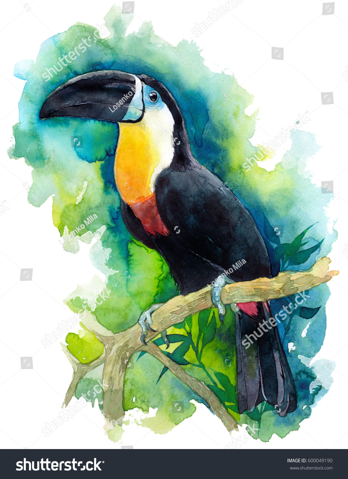 Watercolor illustration with a beautiful tropical bird. Painted toucan on a green background.
Zoo illustration with a bird.