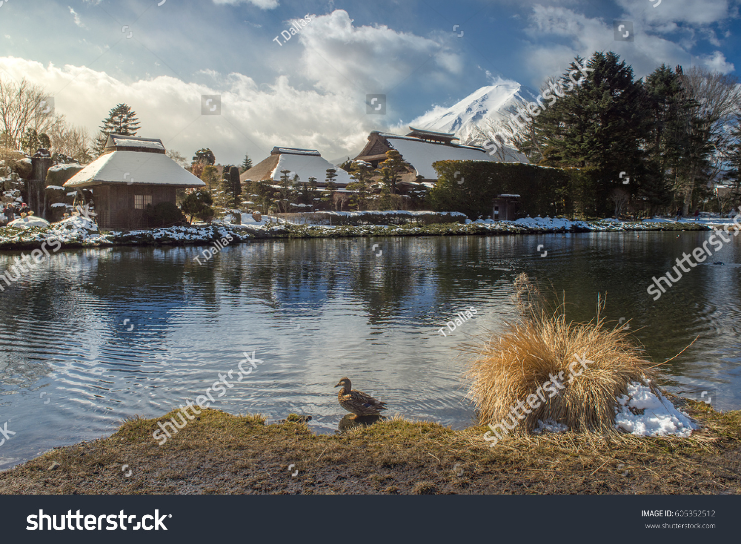 Fuji and Oshino Hakkai in winter season.