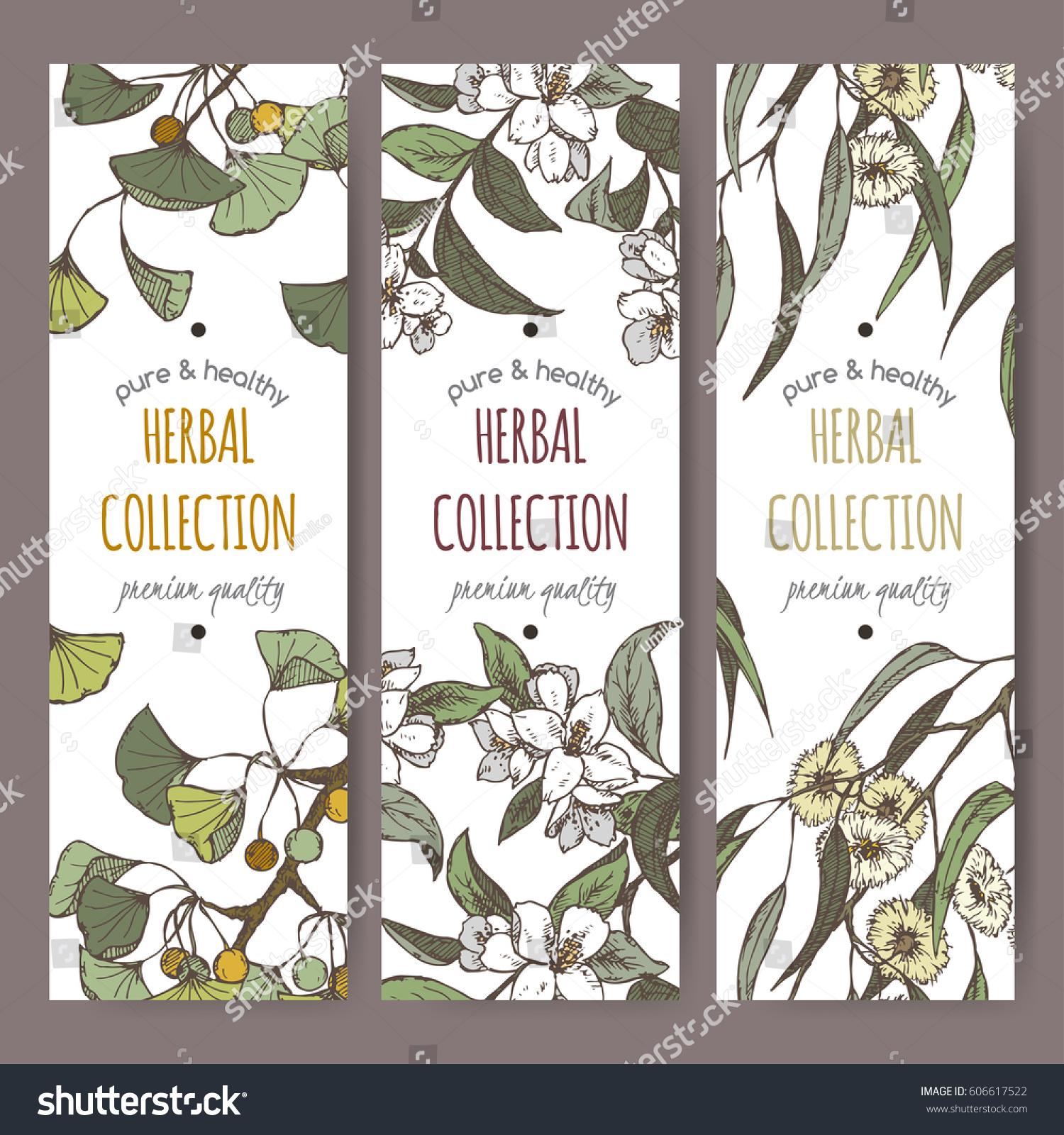 Set of three color vector herbal tea labels with Ginkgo biloba  jasmine and eucalyptus hand drawn sketch. Placed on white background.