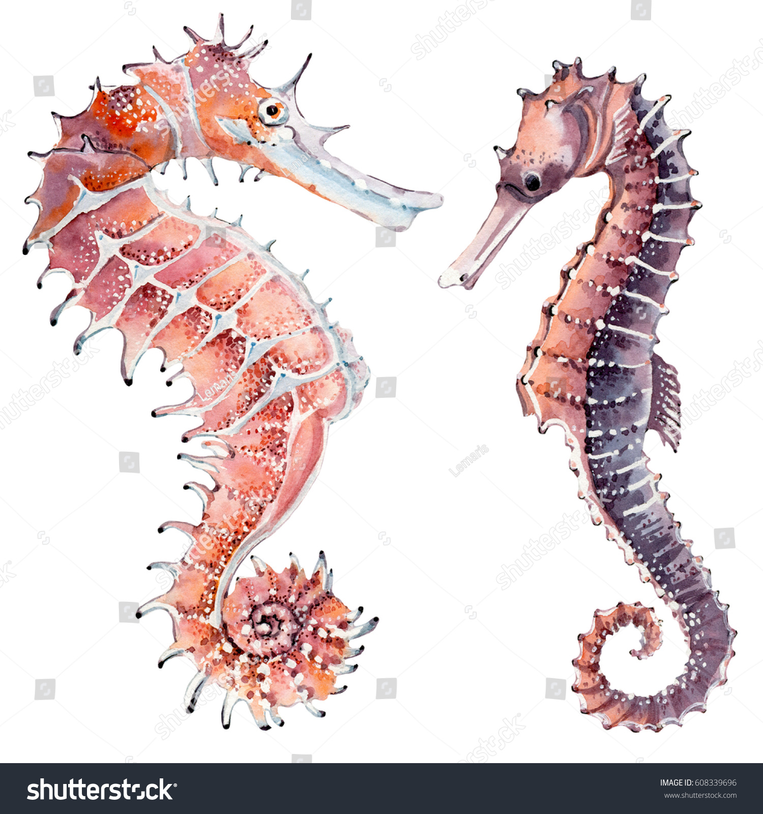 hand drawn watercolor seahorse. It's perfect for card pattern design postcard banner poster.