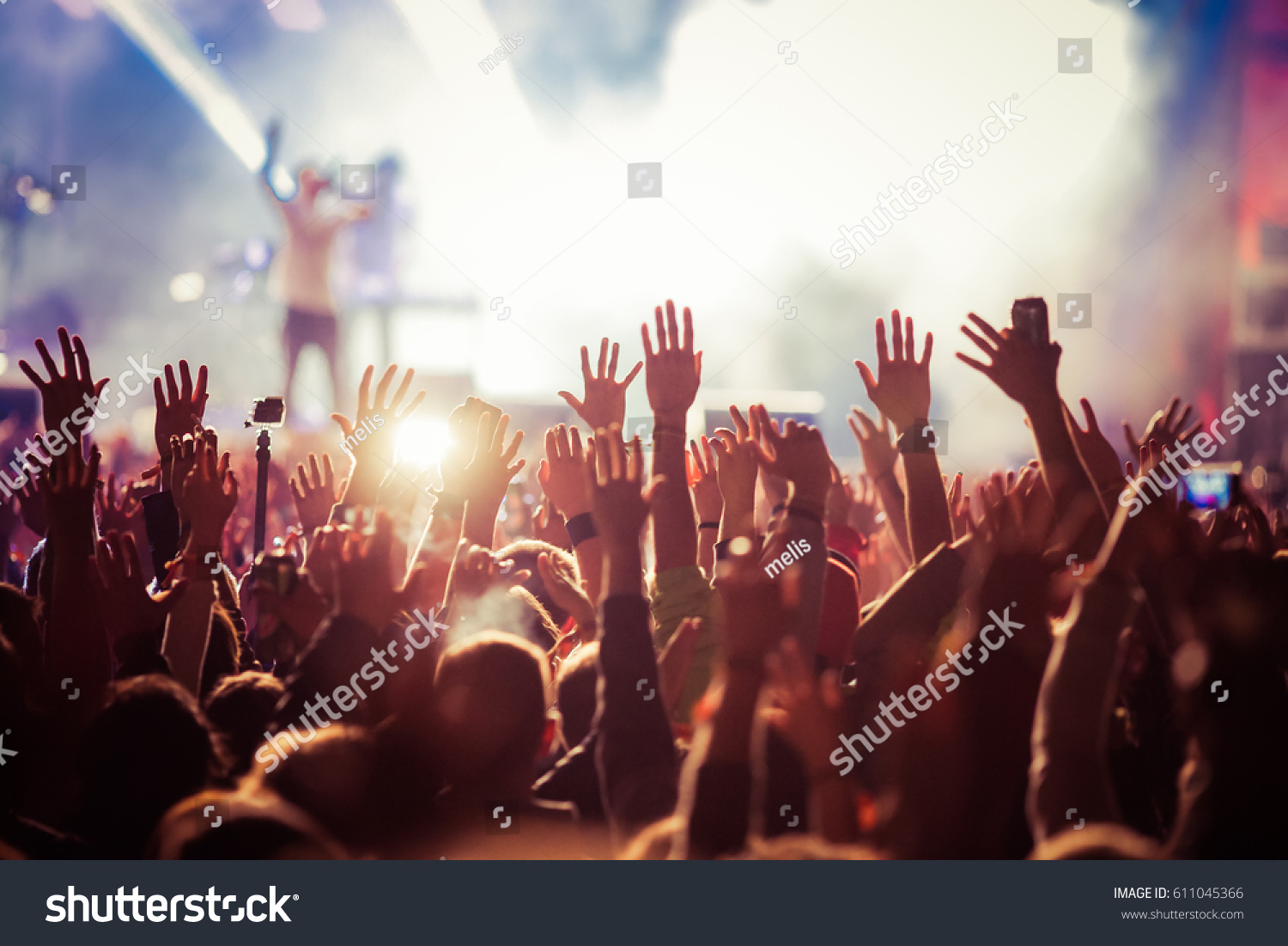 crowd at concert - summer music festival