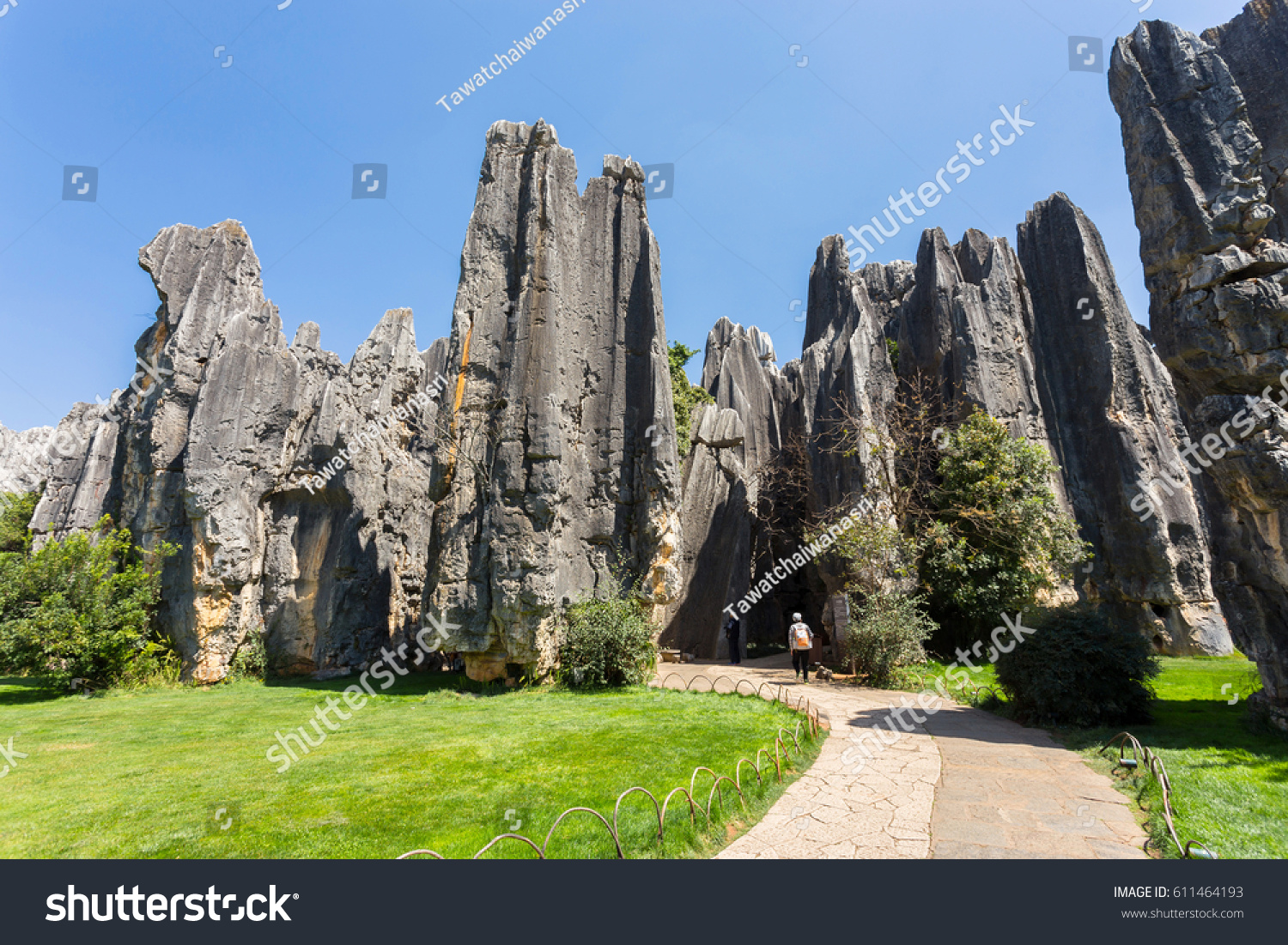 Stone forest or Shilin stone forest is a notable set of limestone formations in Yunnan province  China