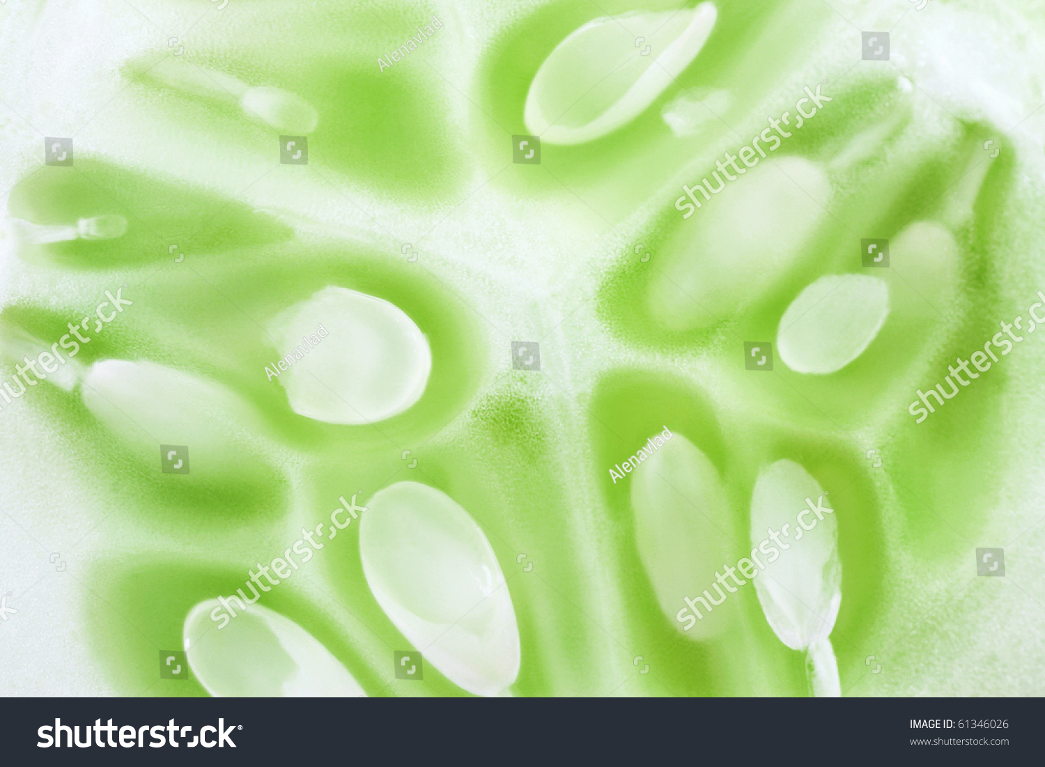 Closeup macro of cucumber.