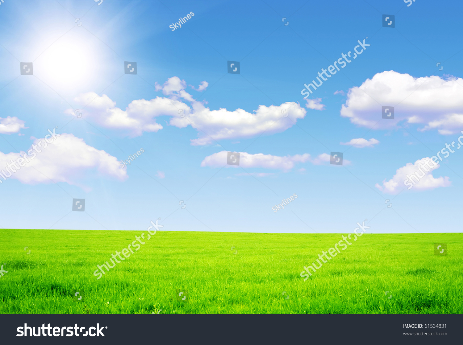 Beatiful morning field with bright sun_站酷海洛_正版图片_视频_字体_音乐素材交易平台_站酷旗下品牌