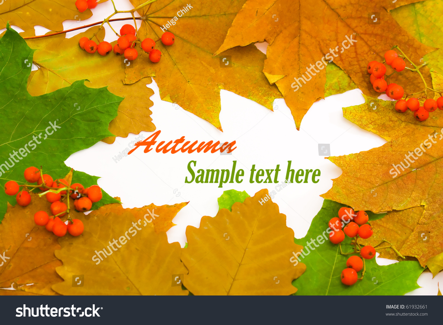 Colorful frame of fallen autumn leaves