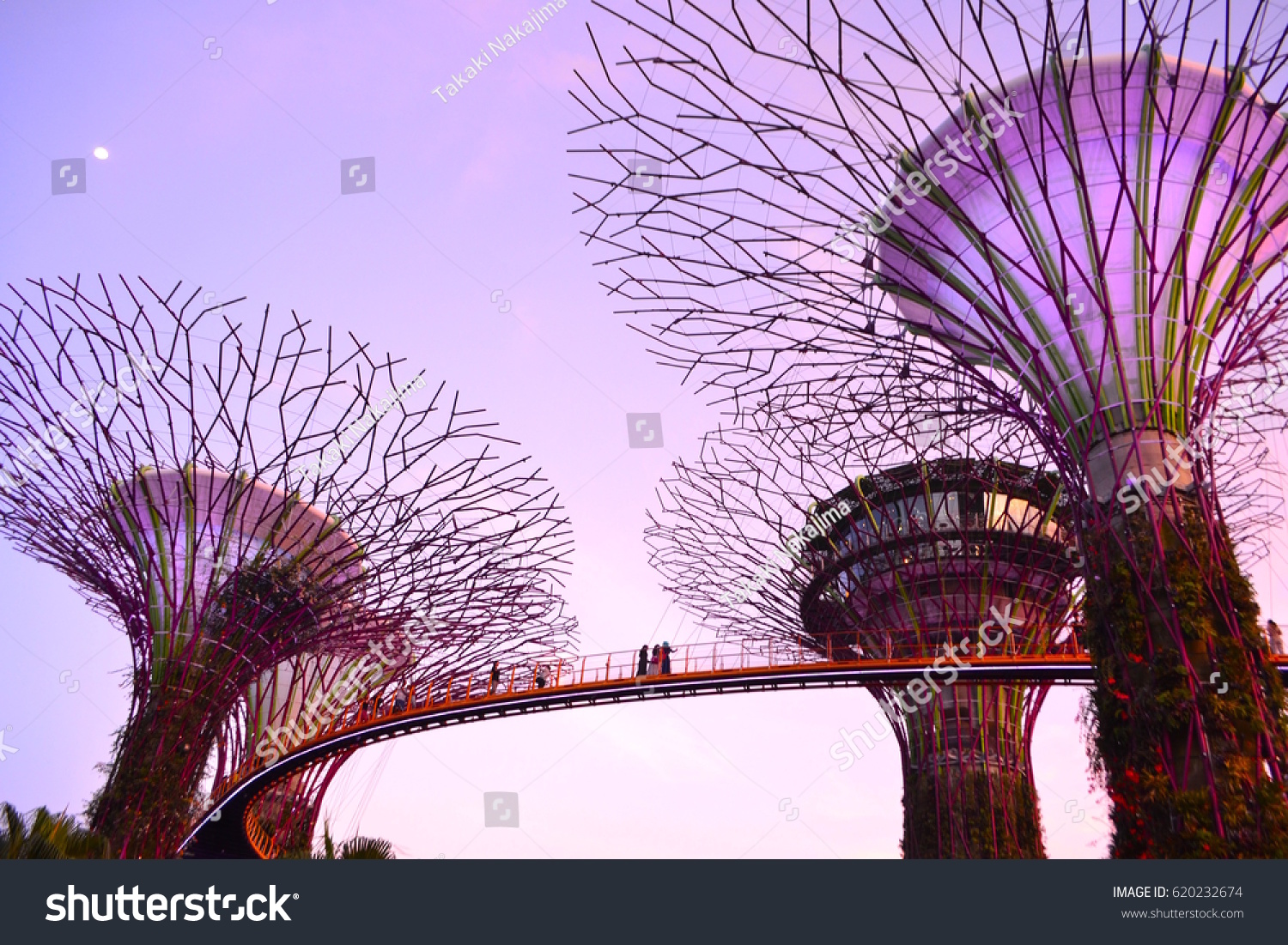garden by the bay  Singapore