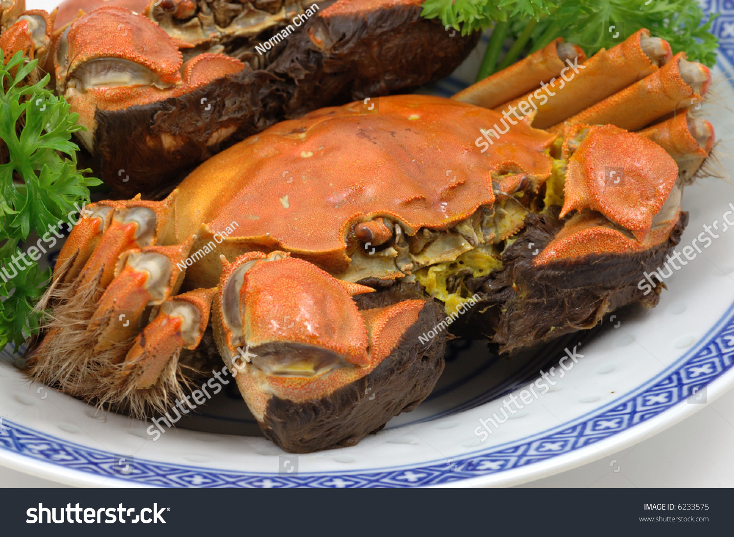 Closeup of steamed shanghai crabs on plate