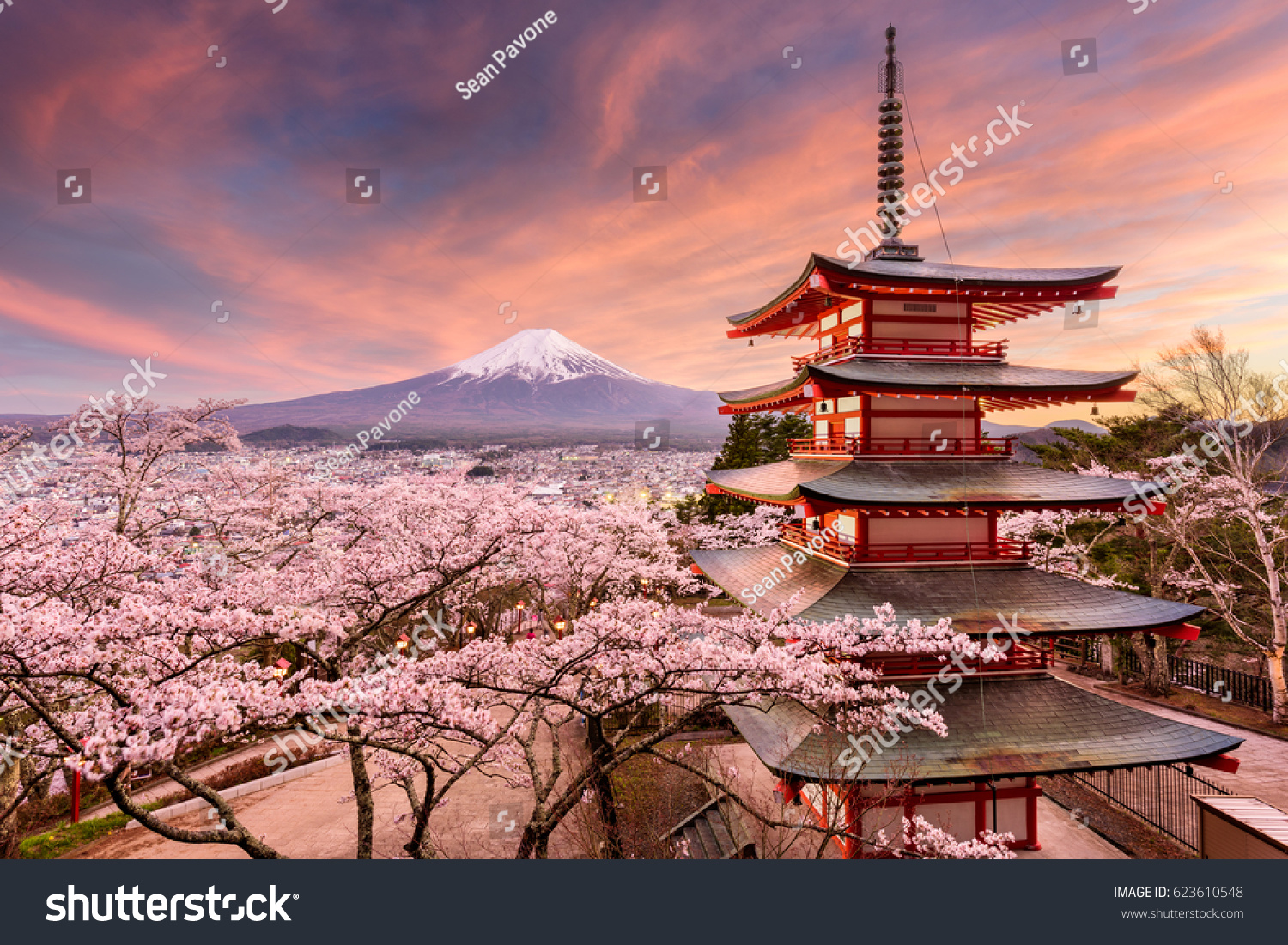 Fujiyoshida  Japan at Chureito Pagoda and Mt. Fuji in the spring with cherry blossoms.