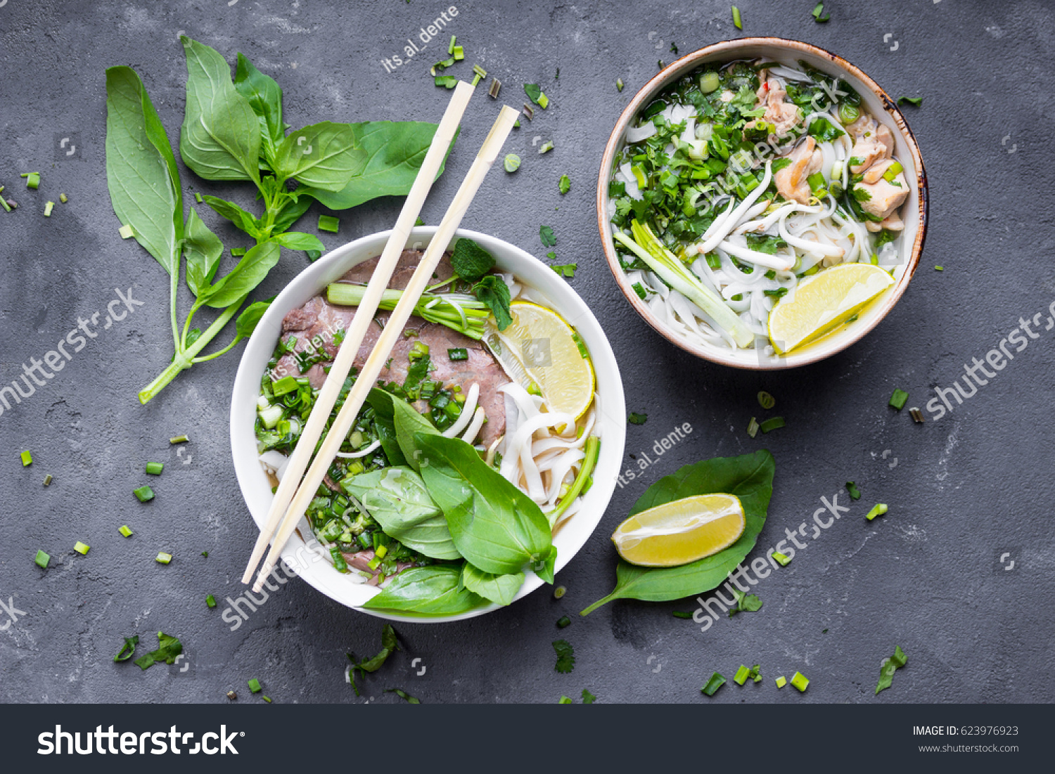 Traditional vietnamese noodle soups pho in bowls  concrete background. Vietnamese beef soup pho bo  chicken pho ga. Close-up. Asian/vietnamese food. Vietnamese dinner. Pho bo meal. Top view. Healthy

