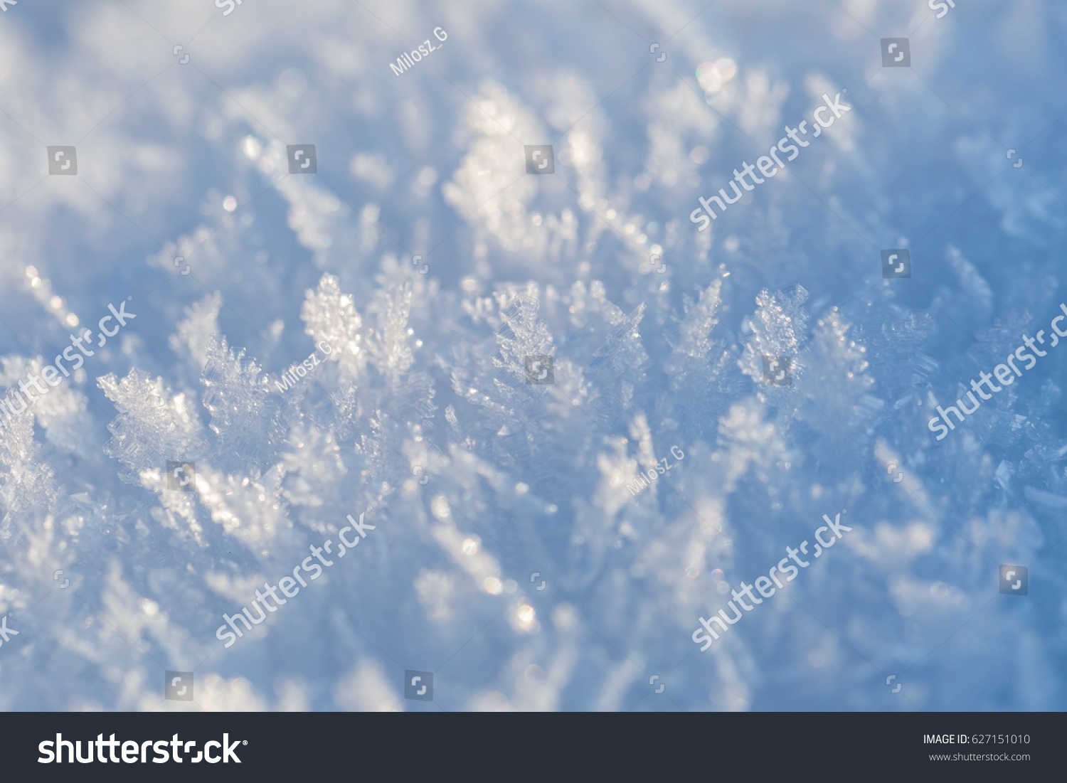 Snow crystals in big close up. Natural snow macro.