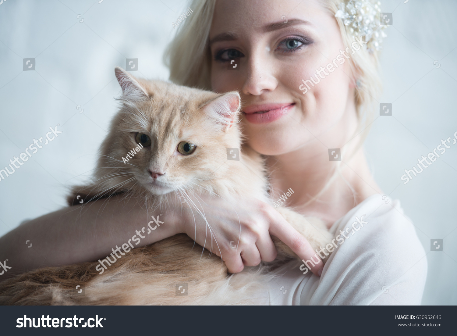 Young beautiful bride with a cat in her arms  the morning before the wedding