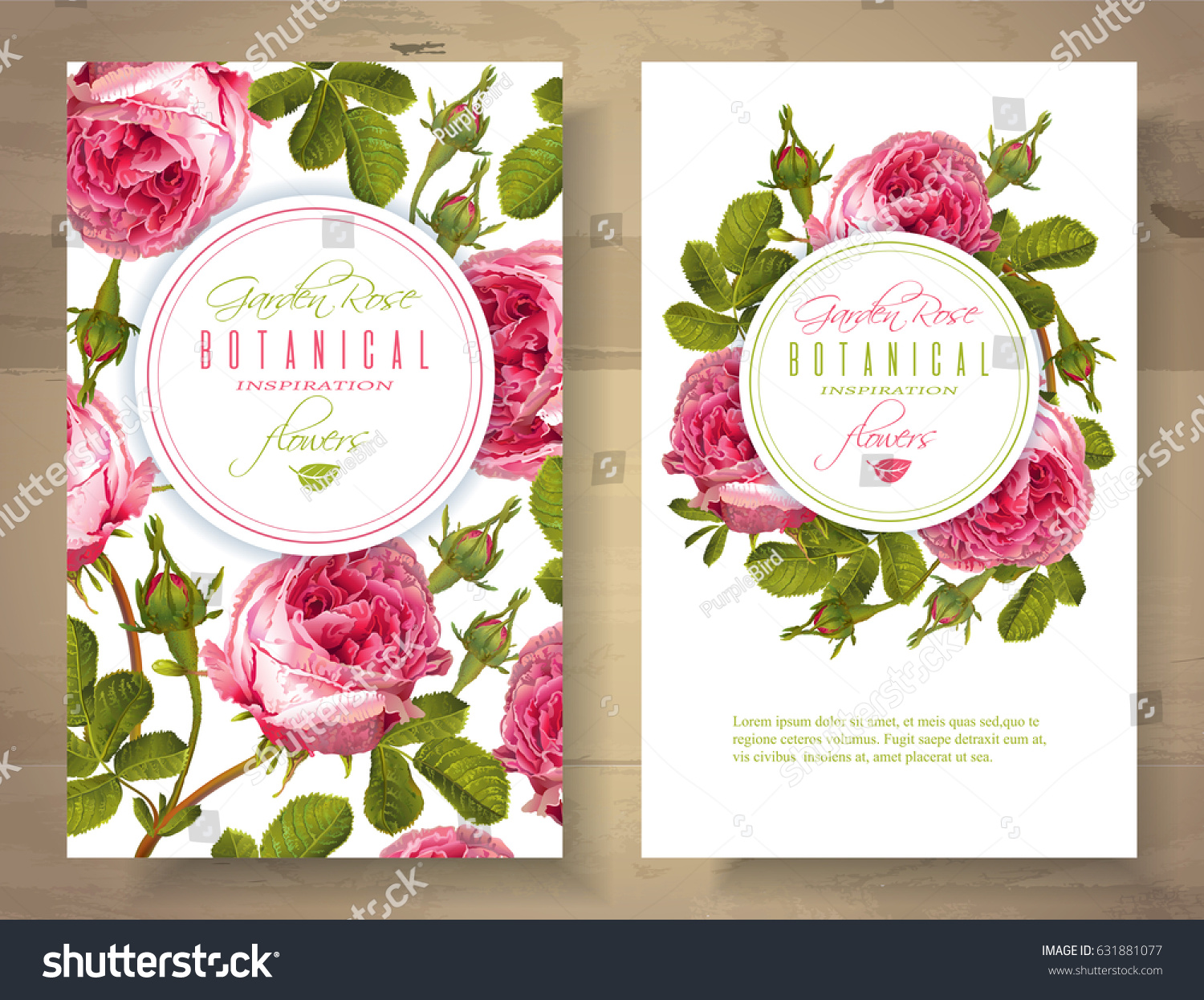 Vector botanical vertical banners with garden rose flowers on white background. Floral design for natural cosmetics  perfume  health care products. Can be used as greeting card  wedding invitation