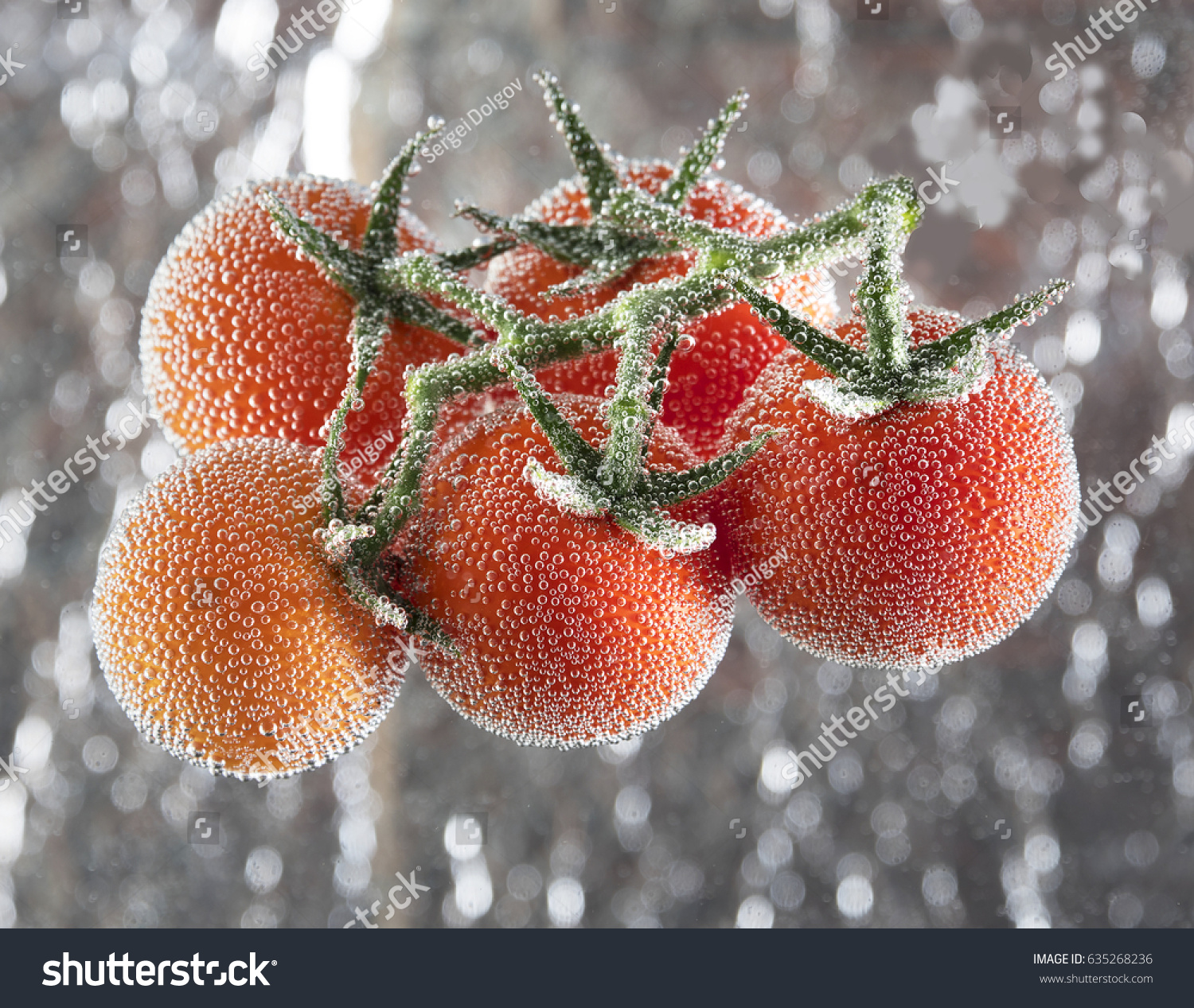 Five tomatoes on a branch are covered with air bubbles on a silver background