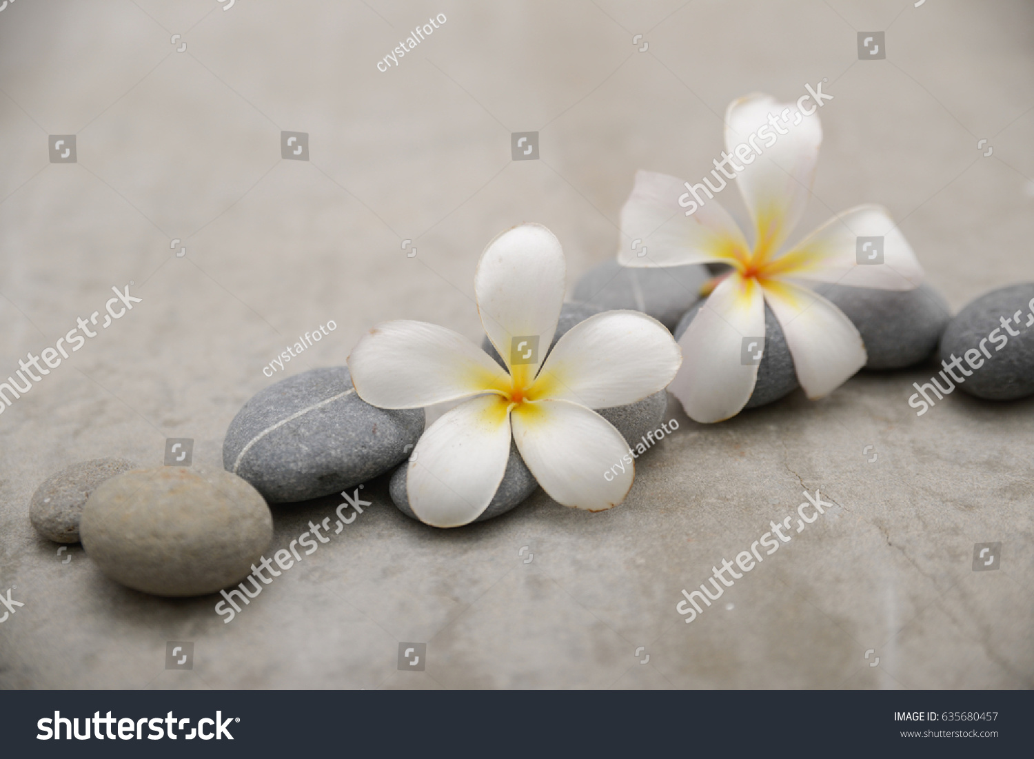 frangipani with pile of gray stones on grey background