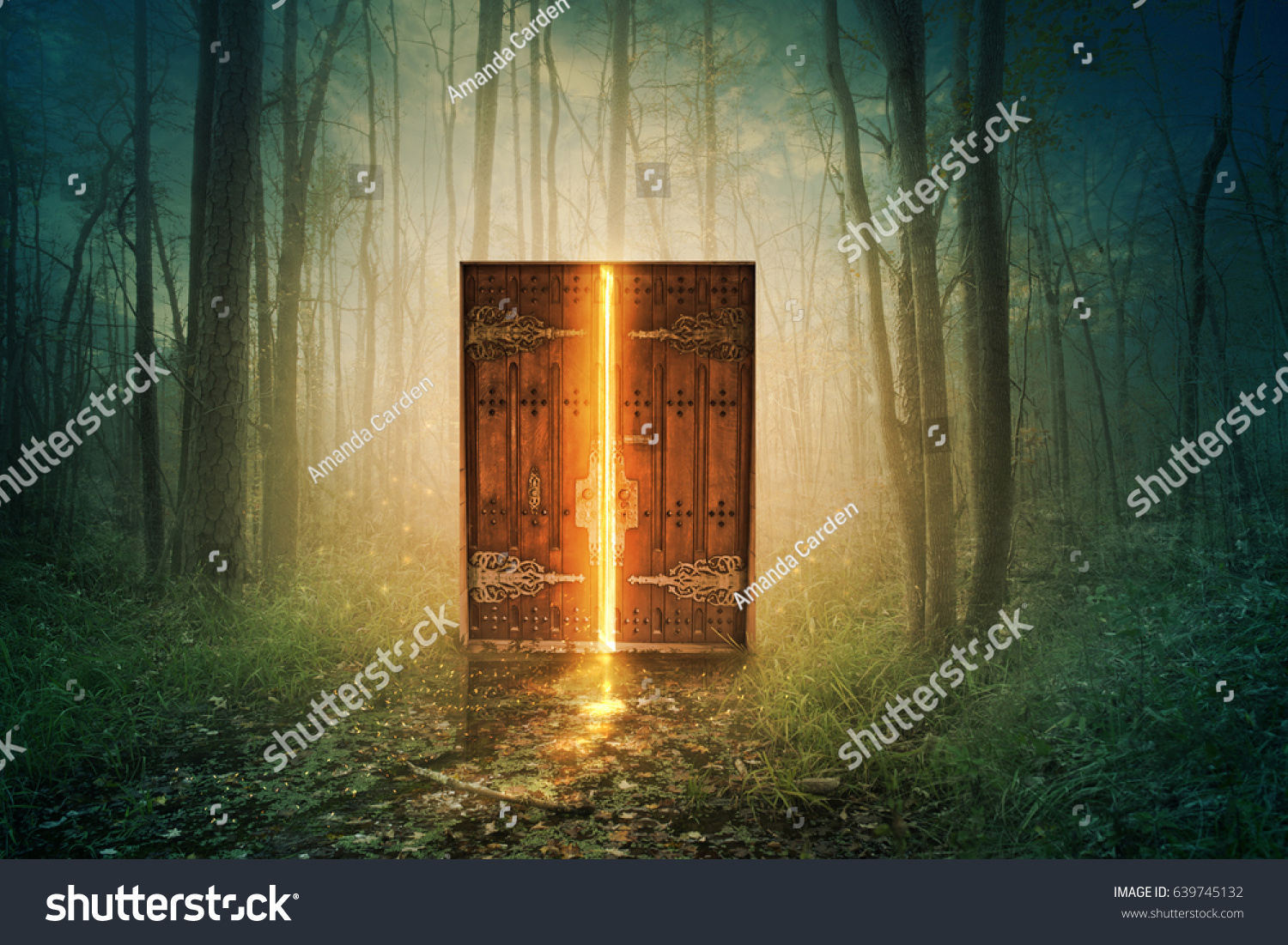 Glowing door in the middle of the forest