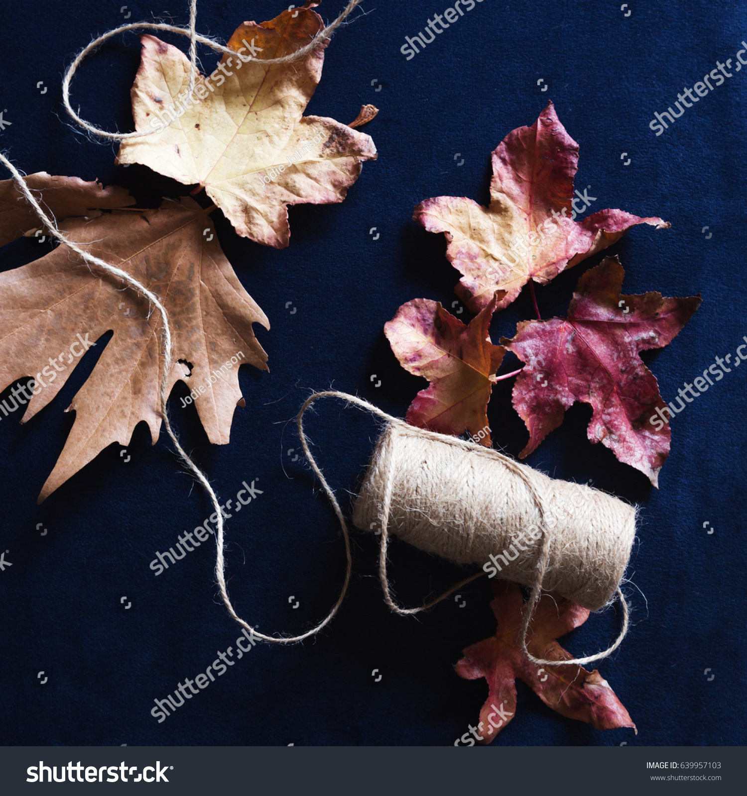 Autumn leaves and craft string on deep navy velvet background