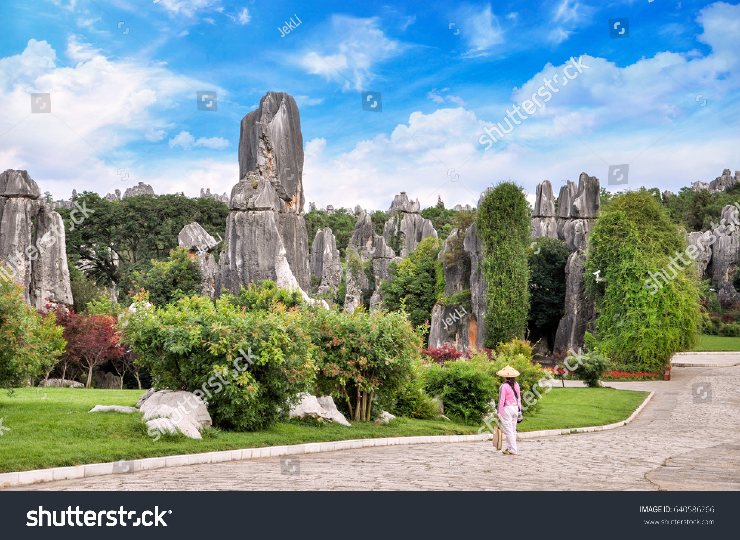Stone forest national park in China  Yunnan province. 