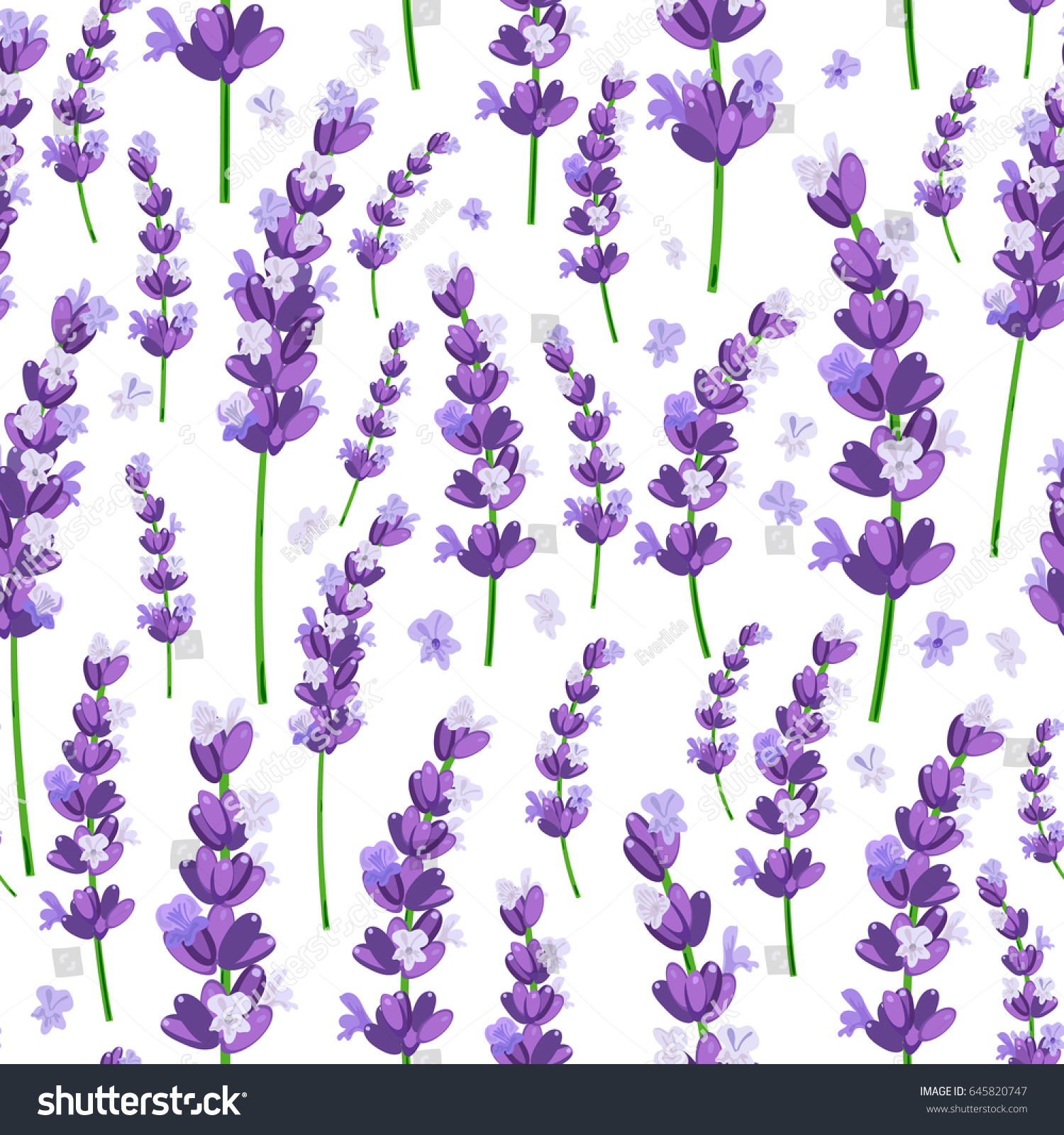 Seamless pattern of provence violet lavender flowers on a white background. Vector illustration.