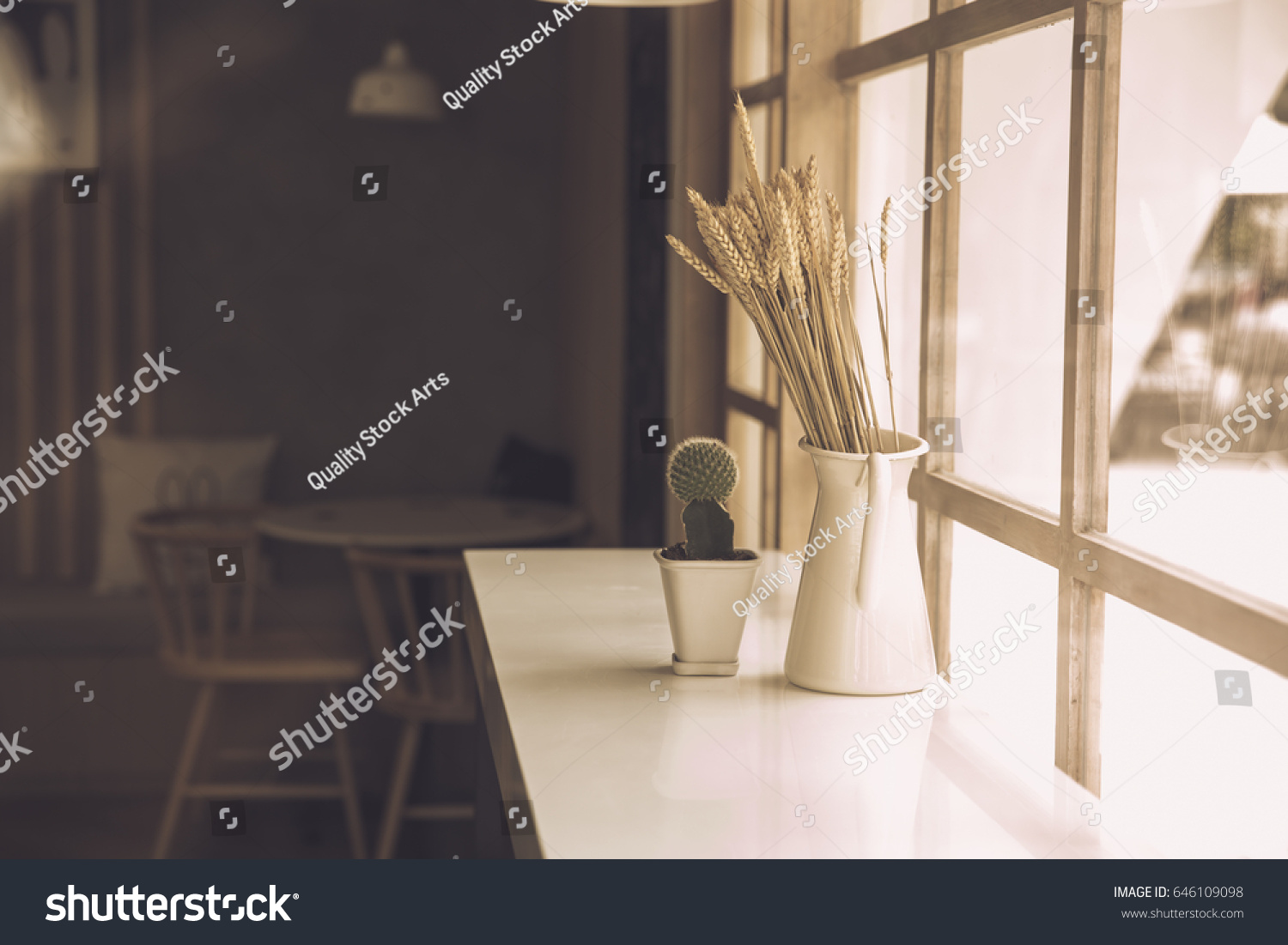 japan style cafe counter bar side glass window interior nature decoration with dried plant and cactus warm tone.