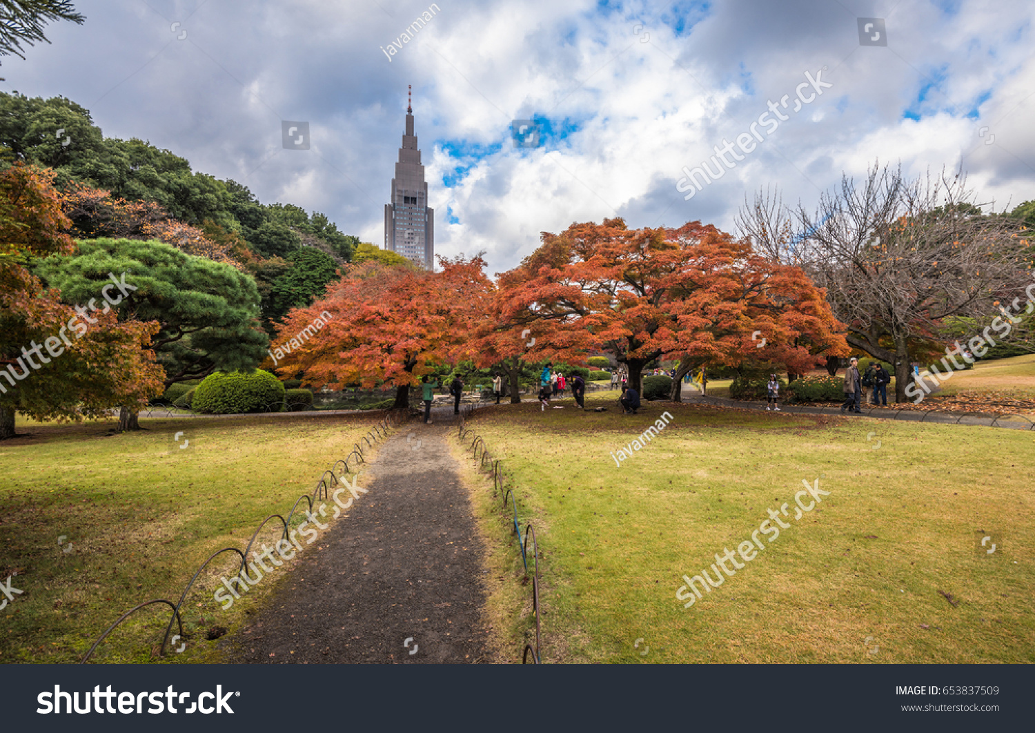 Shinjuku Gyoen Park in autumn  Tokyo  Japan