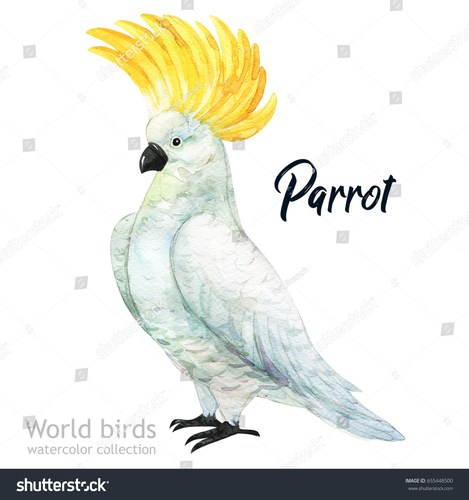 Watercolor bird of isolated illustration on a white background. Natural wildlife collection. Parrot.