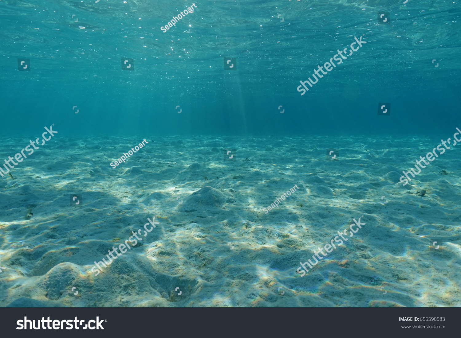 Underwater shallow sandy ocean floor with sunlight through water surface natural scene lagoon of Bora Bora Pacific ocean French Polynesia