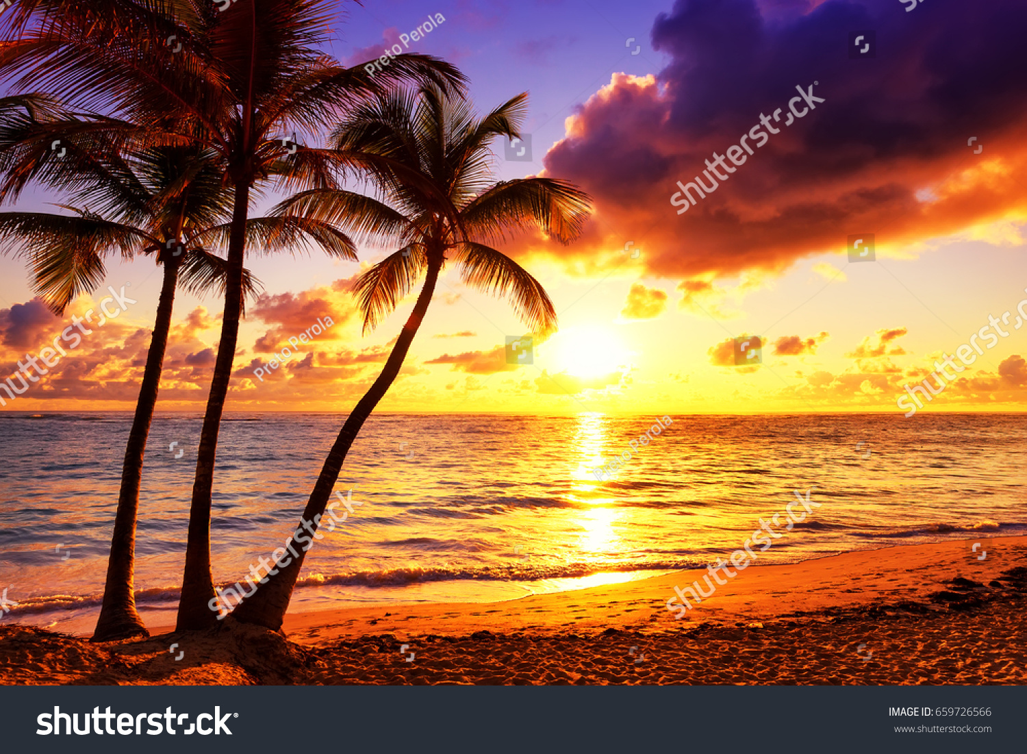 Coconut palm trees against colorful sunset 