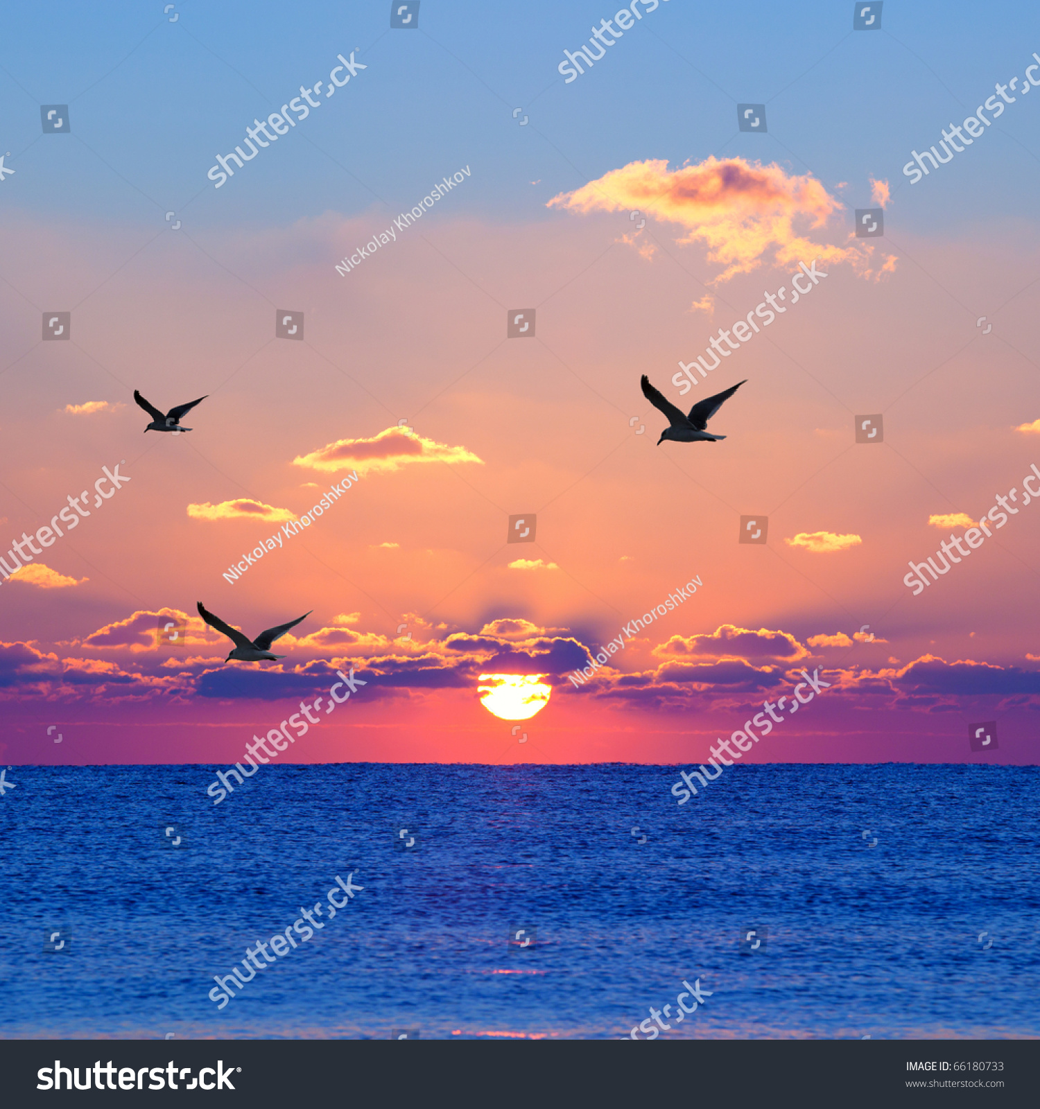 Red rising sun above the dark blue sea with seagulls
