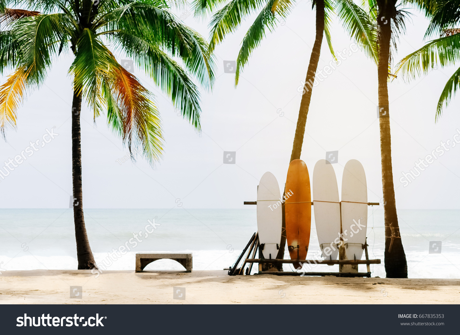 Surfboard and palm tree on beach background. Vintage tone filter color style. 