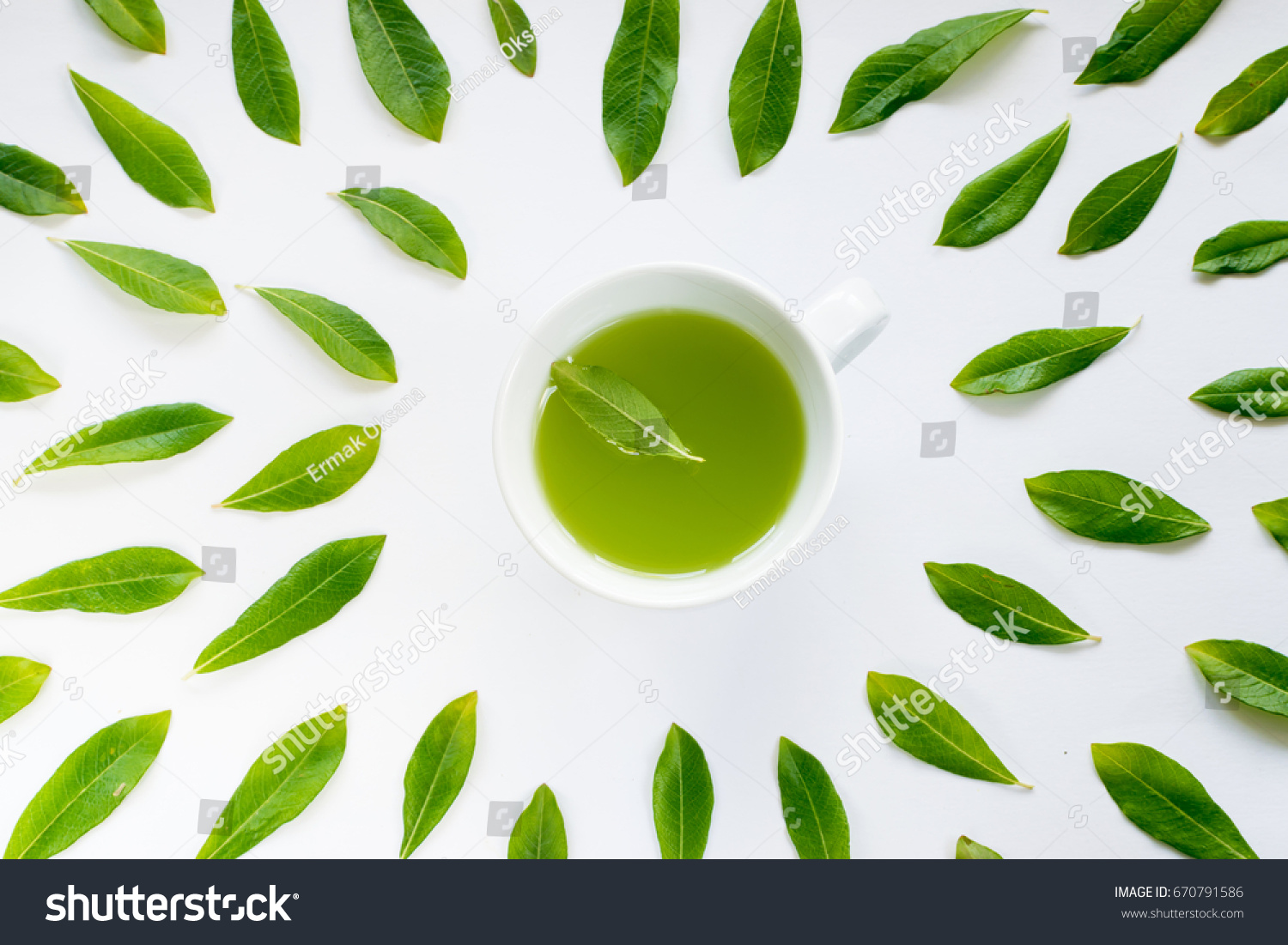 Healthy Light Green Tea Cup with Fresh Green Leaves Flat Lay
